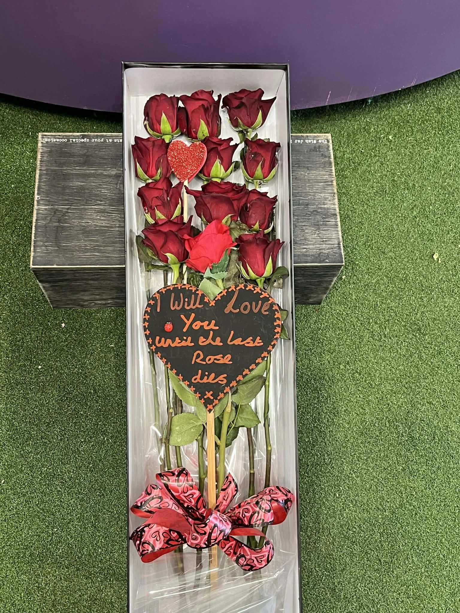 I will love you until the last rose dies 🌹❤️🐞