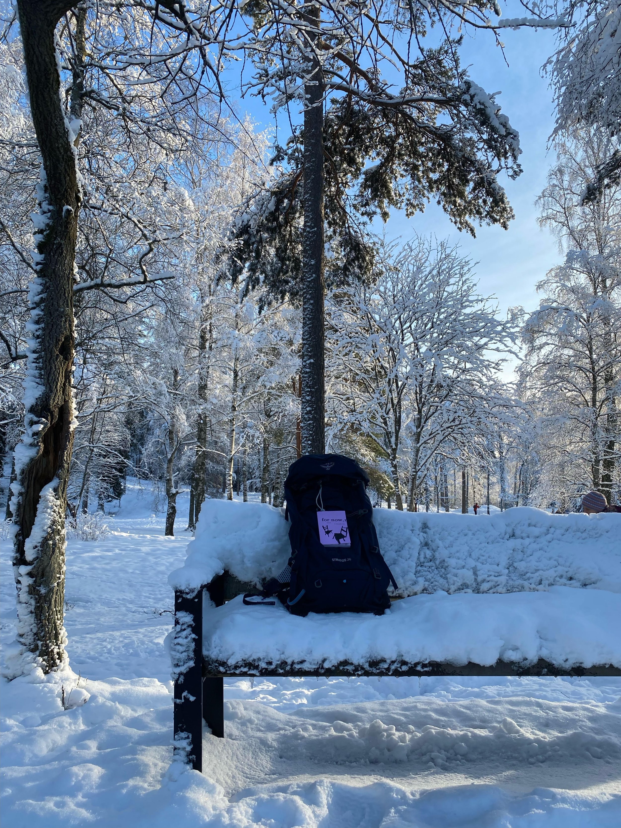 Somewhere in Norway!
(Photo: V Meyer)