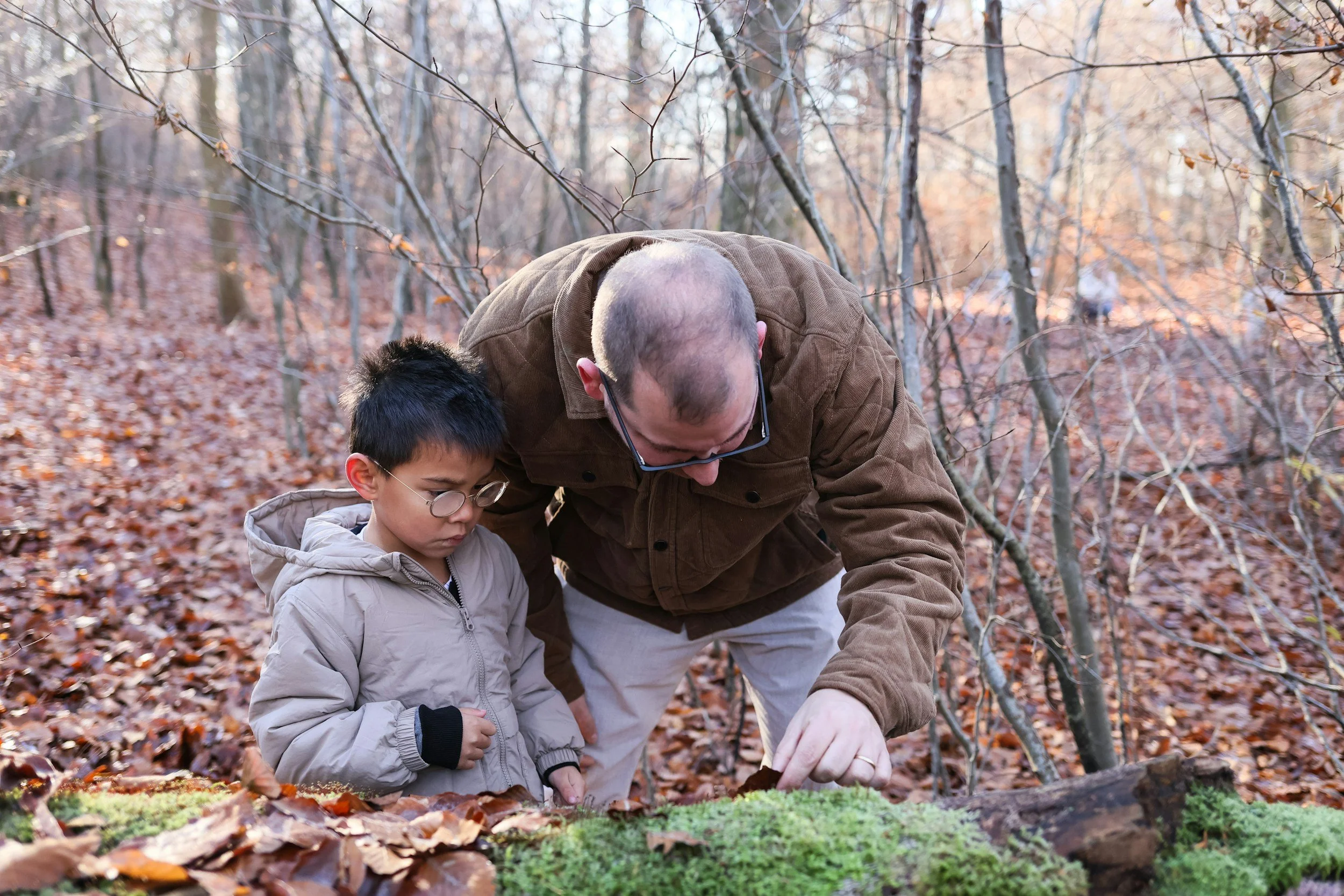 Carpenter Or Gardener? Supporting Back to School Through Nourishment 