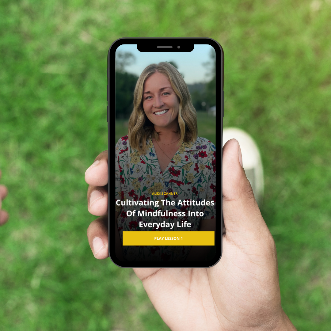 Workshops & Resources | Discover Leadership Resources Today — Alexis Zahner