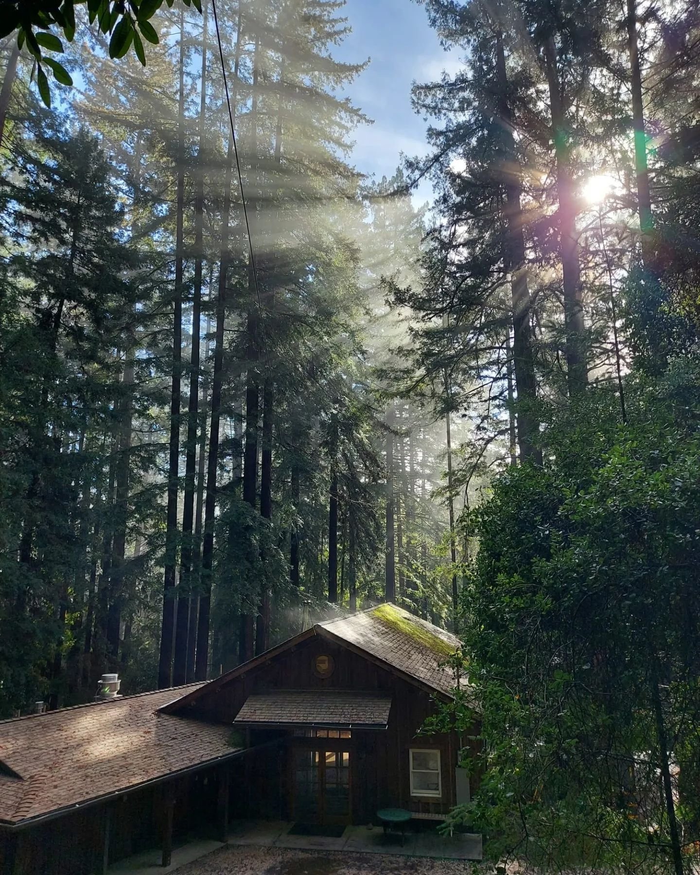 In less than 2 weeks, we're excited to host our first ever retreat where we'll commune with the beautiful redwood forest on Awaswas Land in the Santa Cruz Mountains. Grateful to our partners at the Ben Lomond Quaker Center for welcoming us! 

Please 