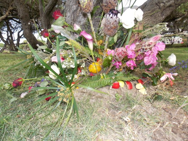 Mbali flowers photo.jpeg