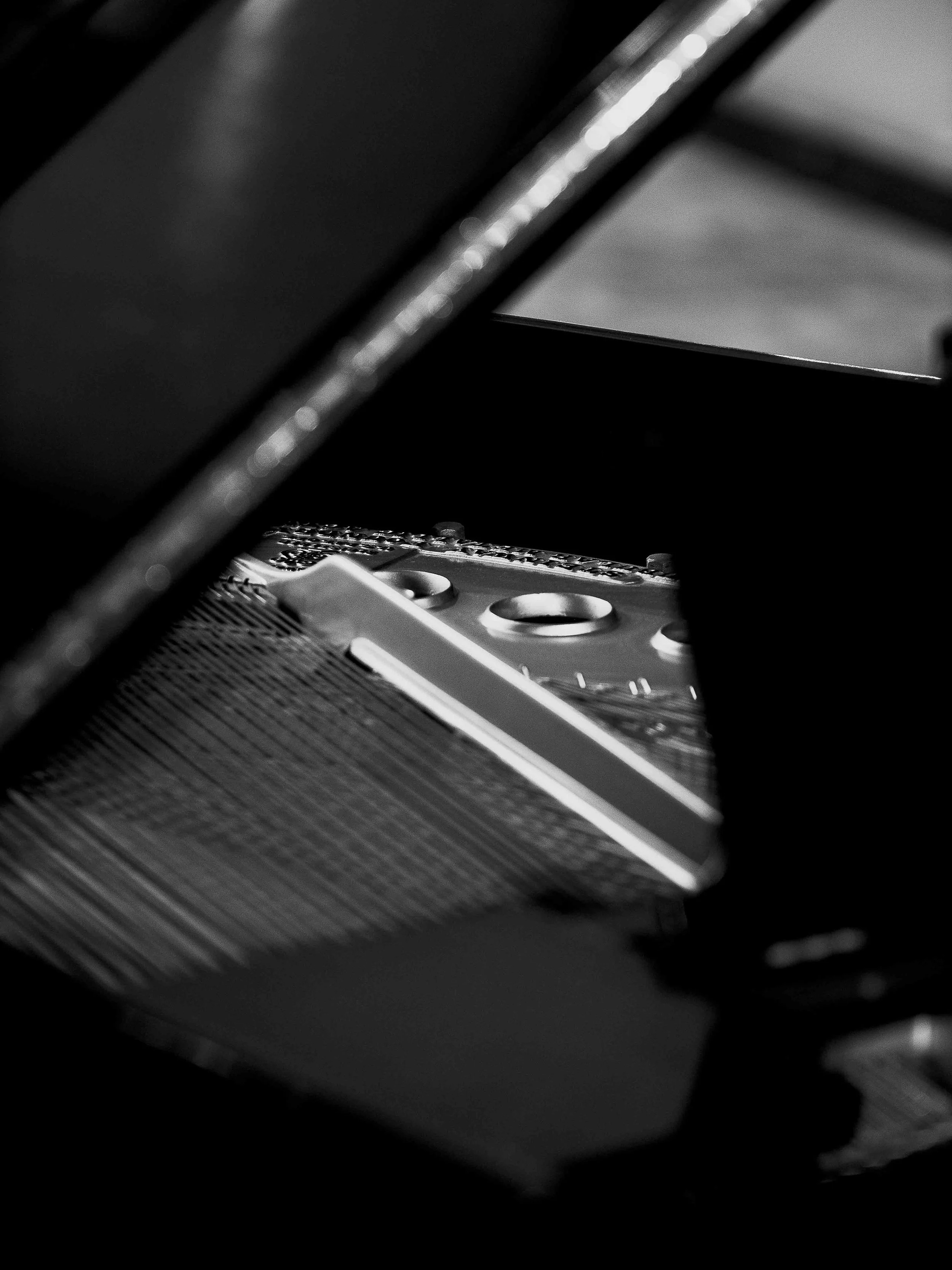 P1087168.jpg