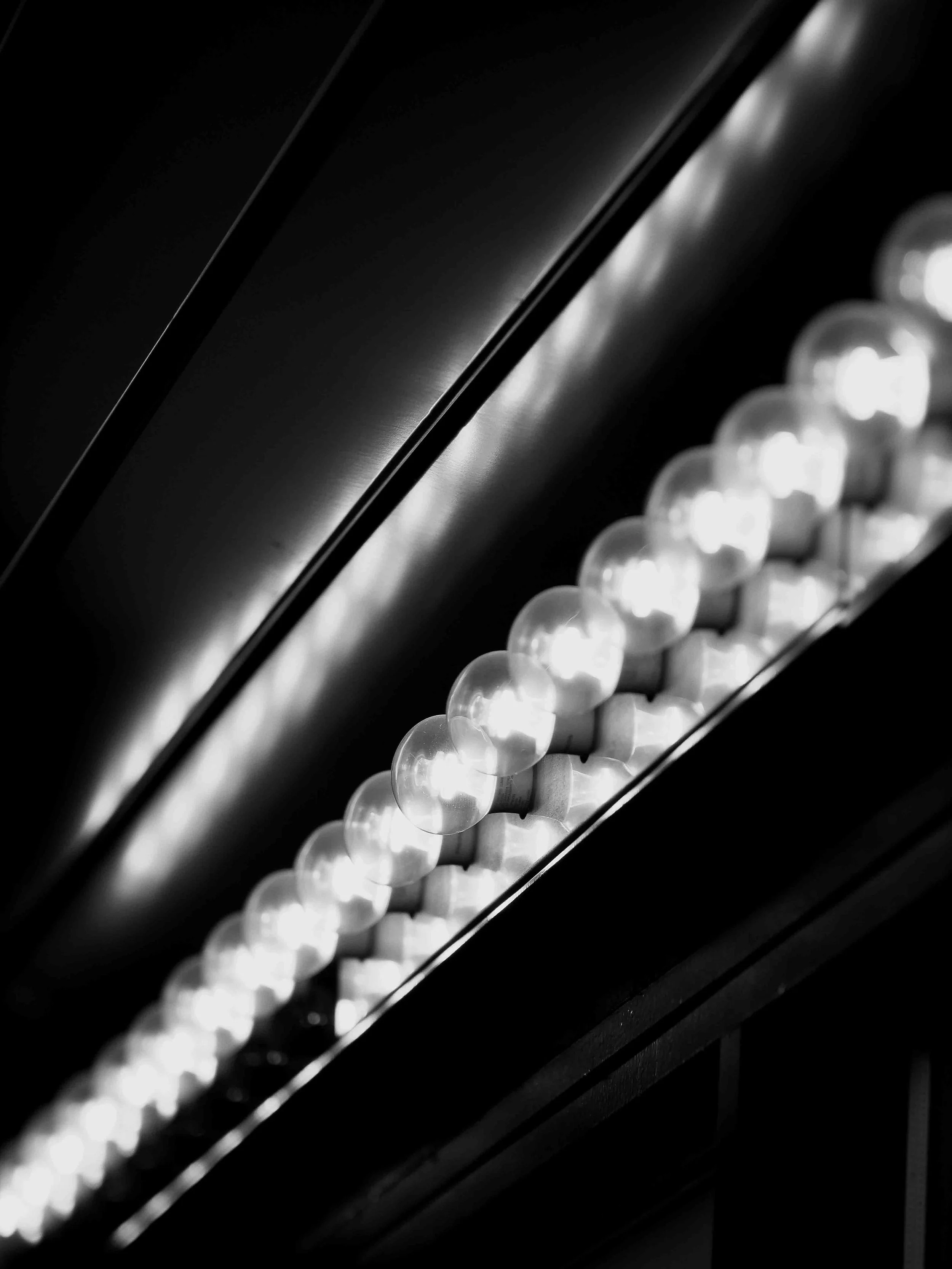 P1087179-2.jpg