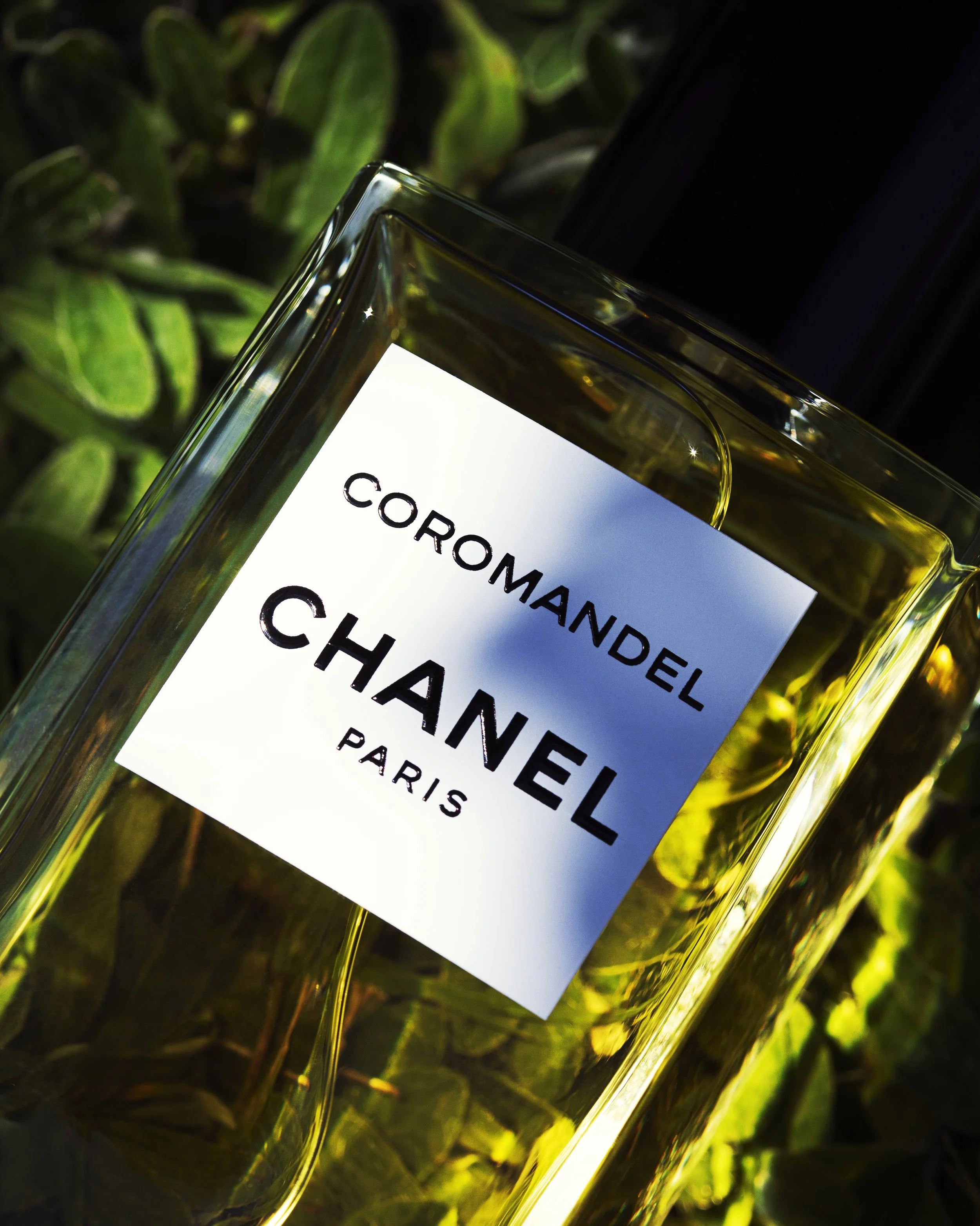 ©MARGAUX HUG CHANEL.jpg