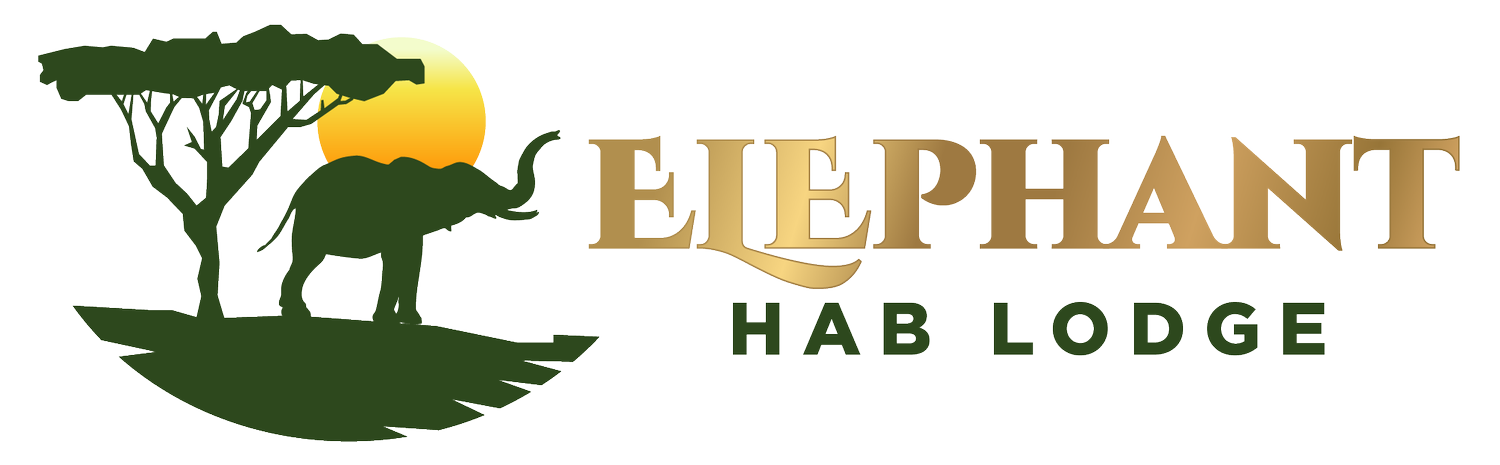 Elephant Hab Lodge