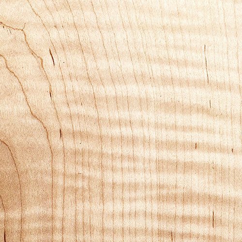 Curly Maple