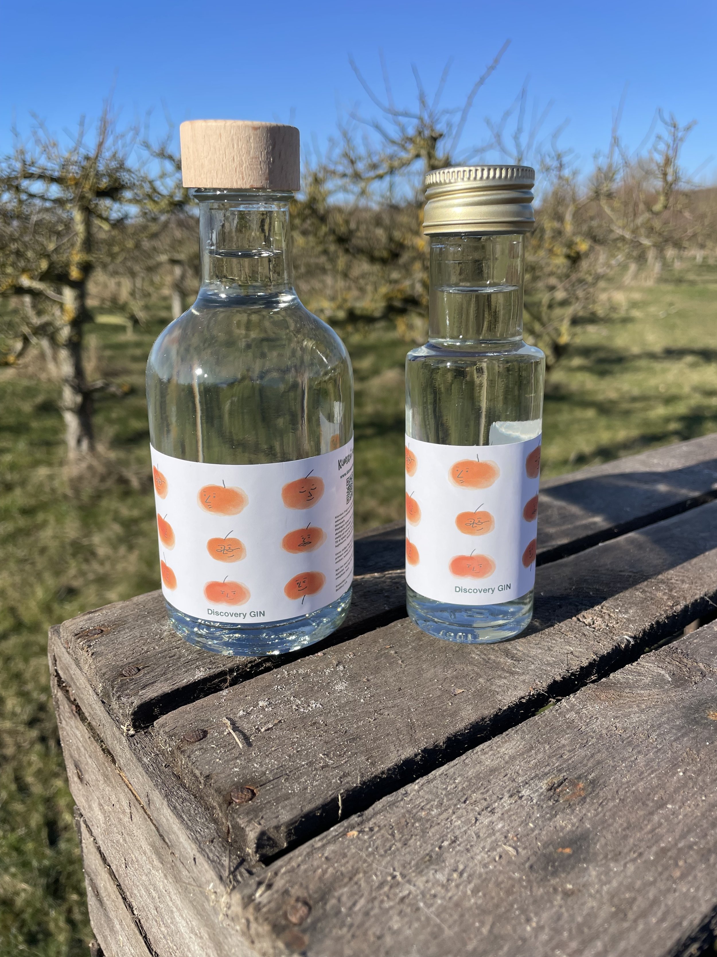 Discovery Gin