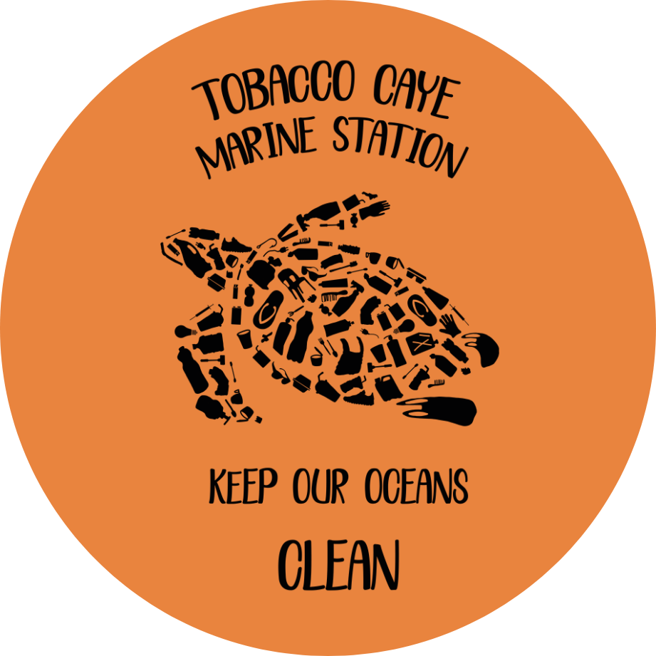 4" Keep Our Oceans Clean Decal