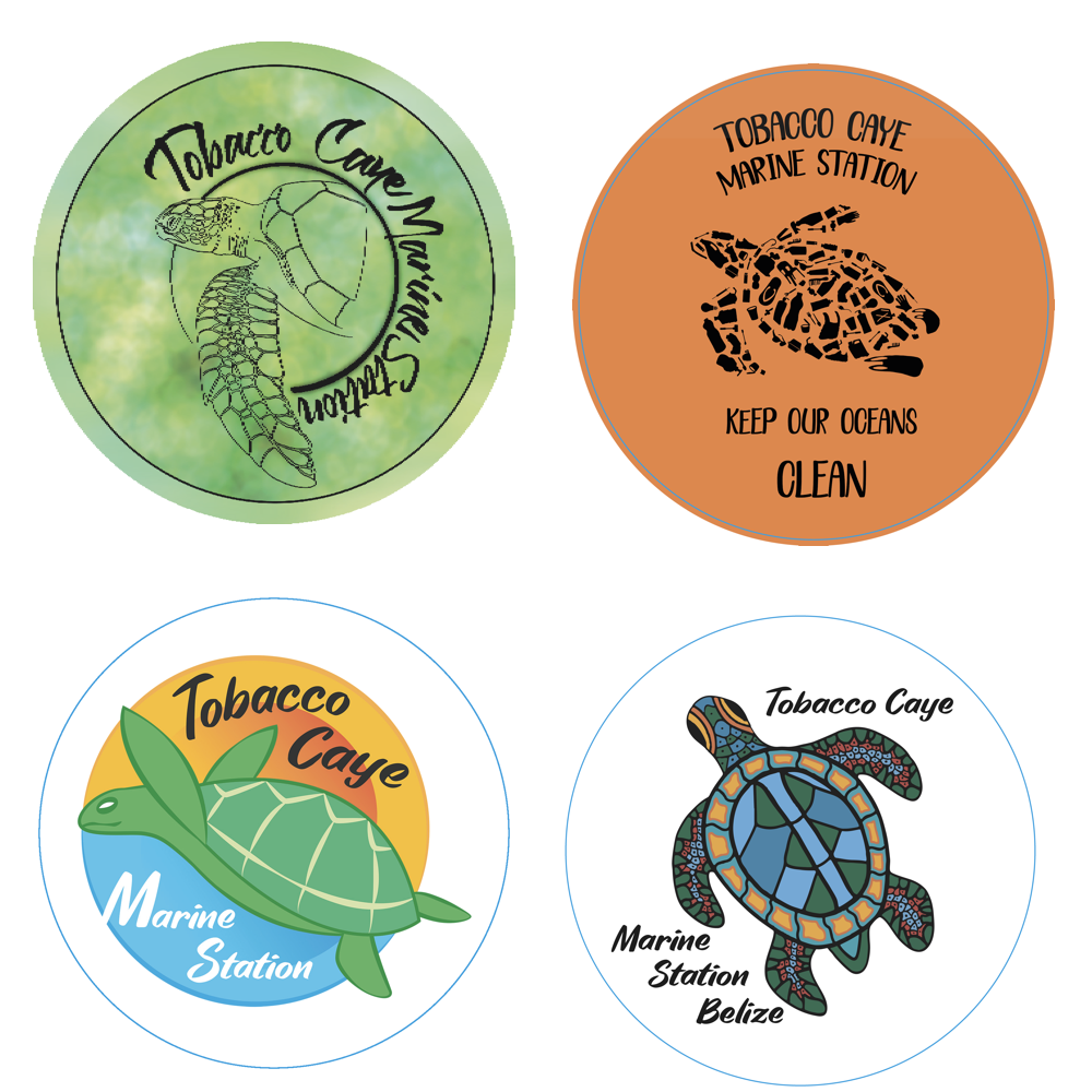 Set of 4 Turtle Decals - Support Turtle Conservation!