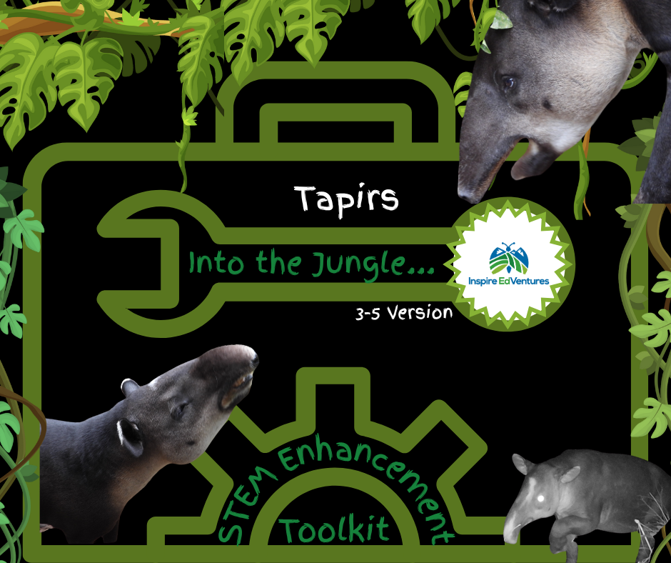 Grades 3-5 Toolkit: Into the Jungle - Tapirs!