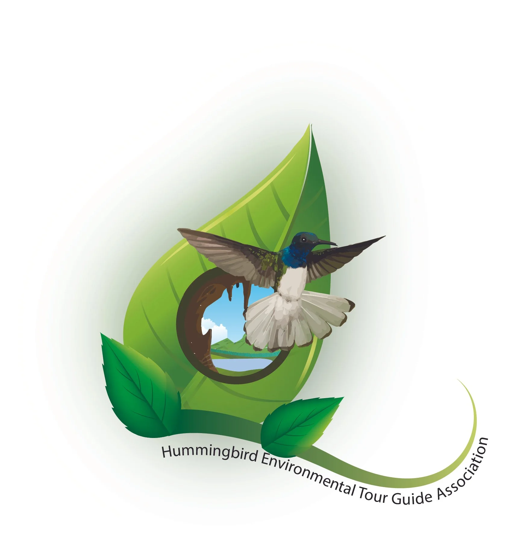 Hummingbird Environmental Field Guide Association Belize