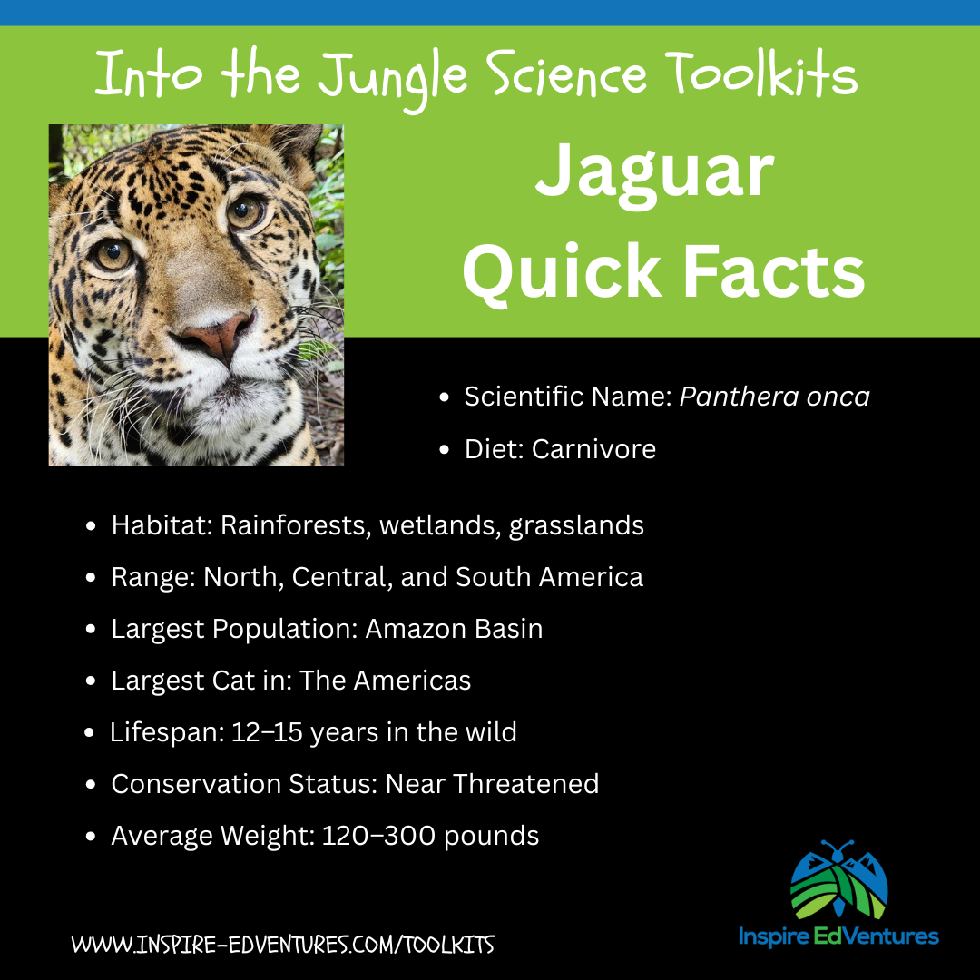 Fun facts about Jaguars