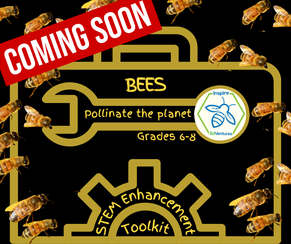 Grades 6-8 Toolkit: Pollinate the Planet - Bees