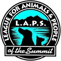 laps Funraiser 