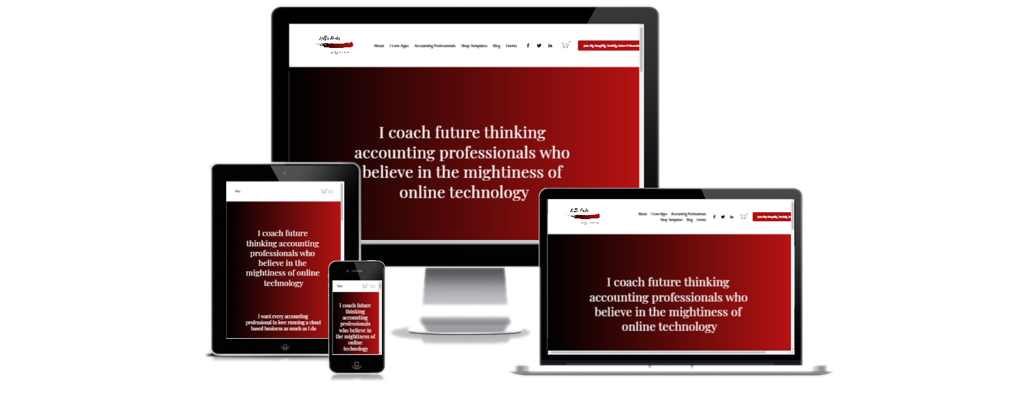 Sassy Accounting Coach — Hot Lizard Designs - Squarespace Website Design  Specialist