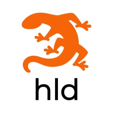 Hot Lizard Designs | Squarespace Expert Website Designer