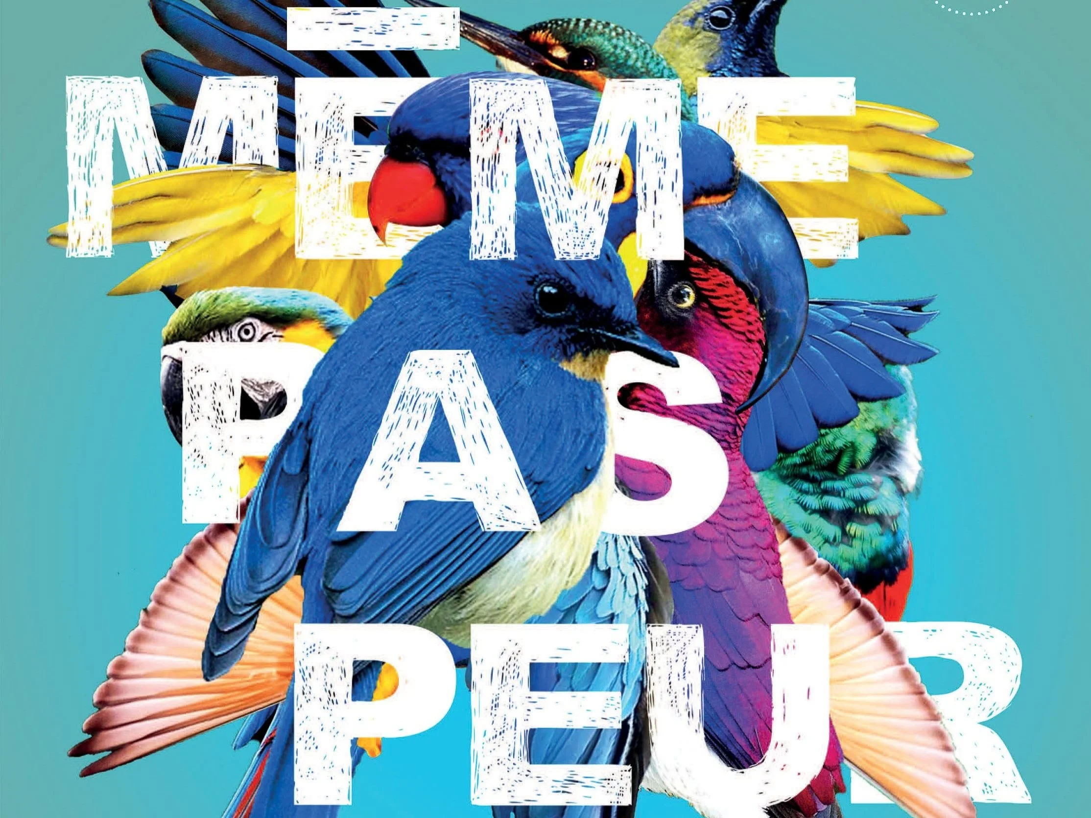 Memepaspeur.jpg
