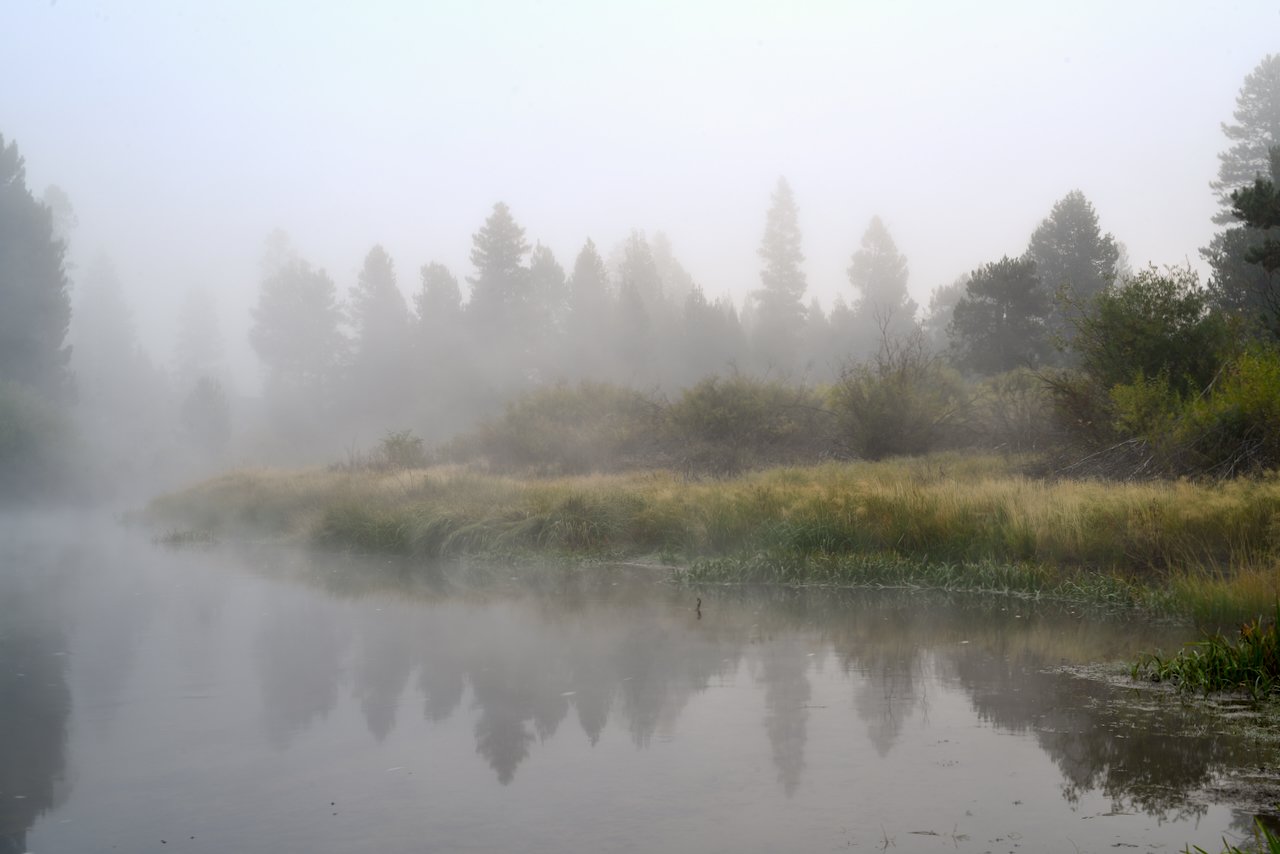 Morning Fog - Web.jpeg