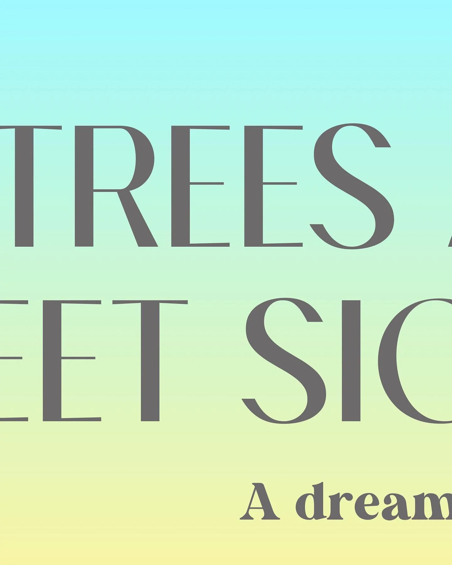 Palm Trees and Street Signs is what I woke up to this morning. Yep a dream. It was a dream of slide film in their cartridges displaying little vignettes of palm trees and street signs on an old carrousel. This is the theme for September. I&rsquo;m co