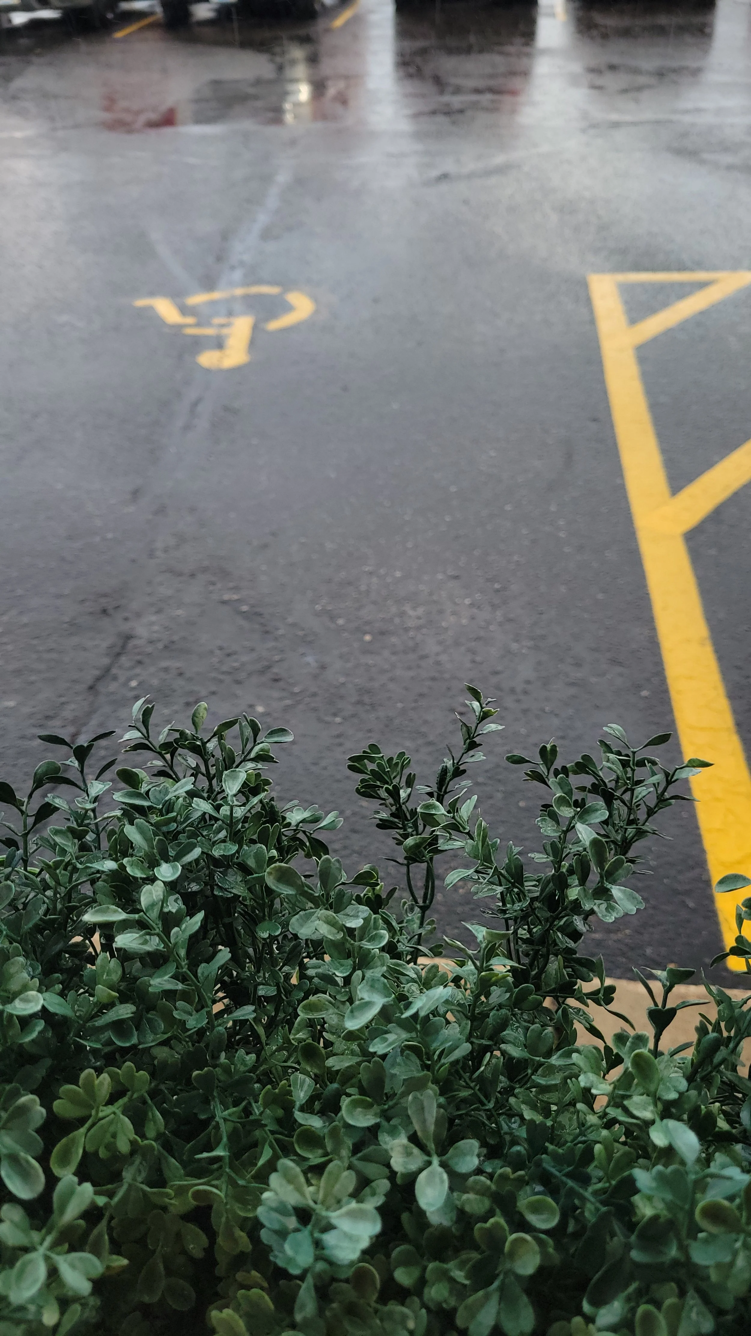 20220731_190740.jpg