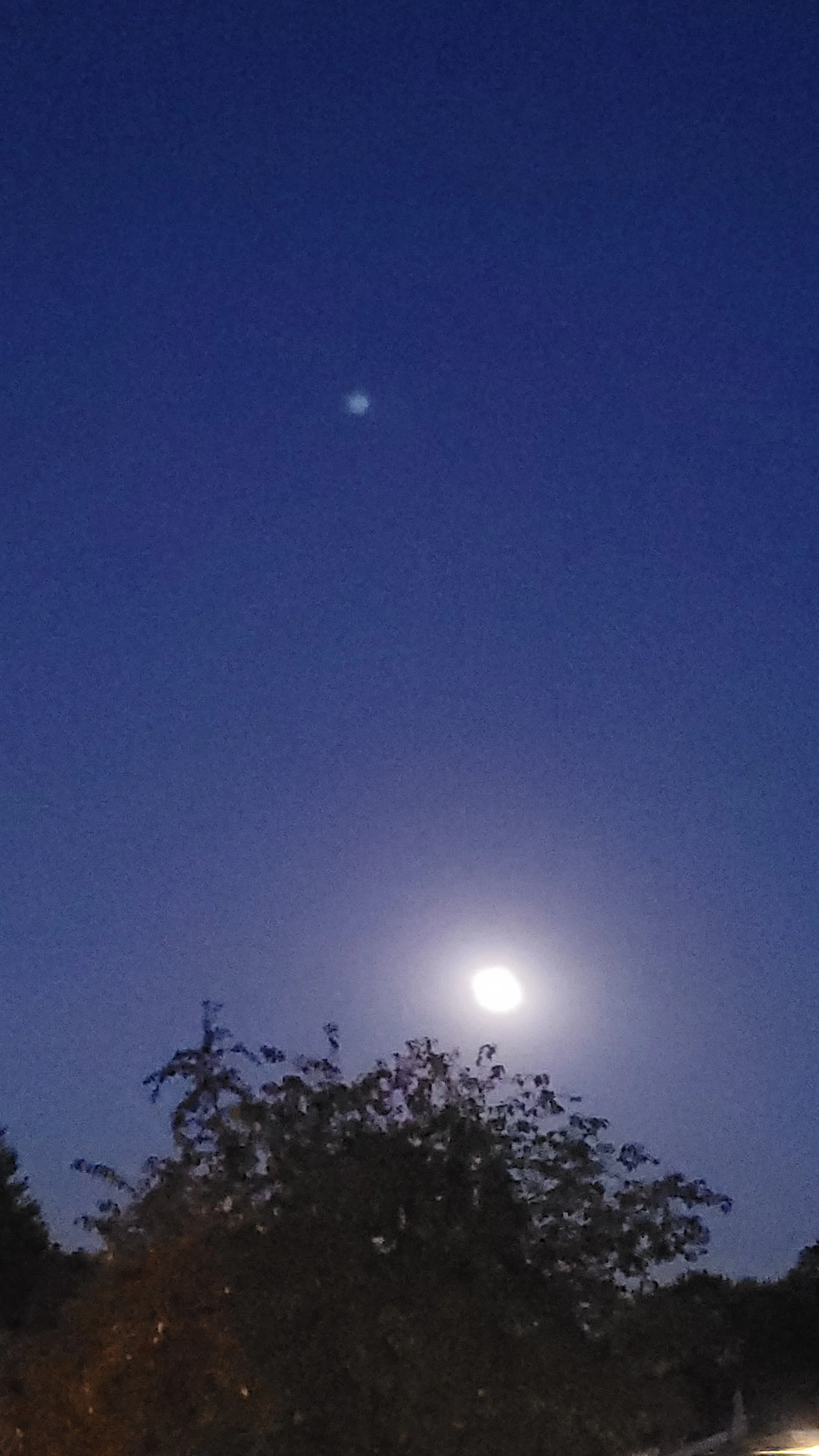 20221010_064242.jpg