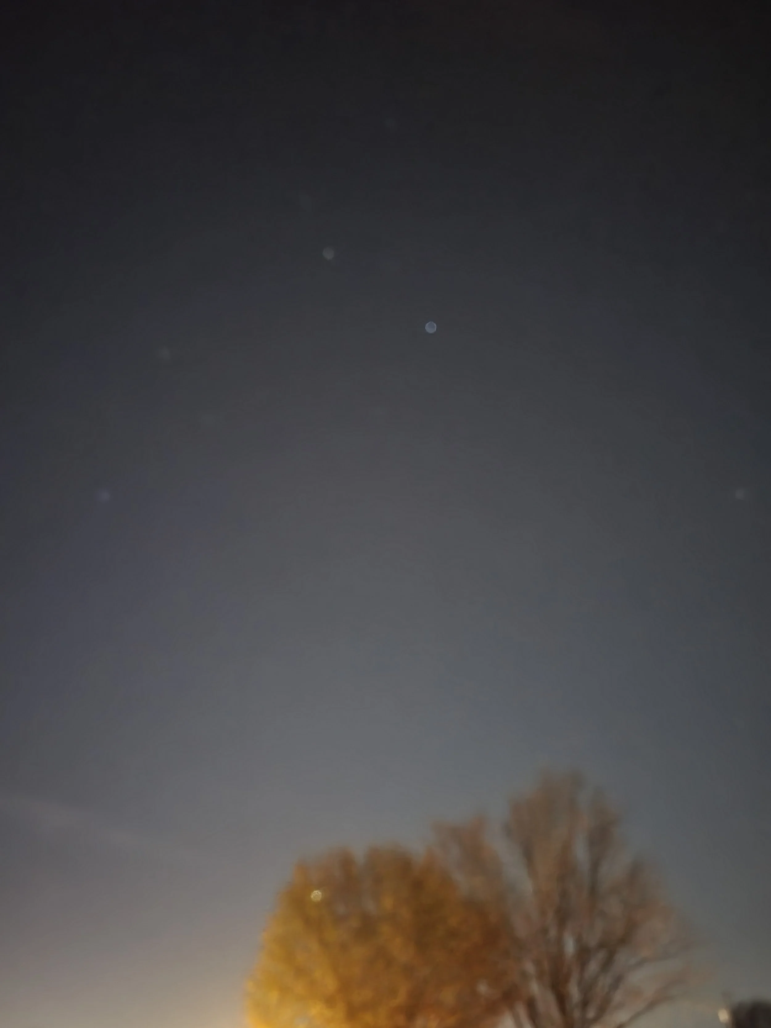 20221102_064428.jpg