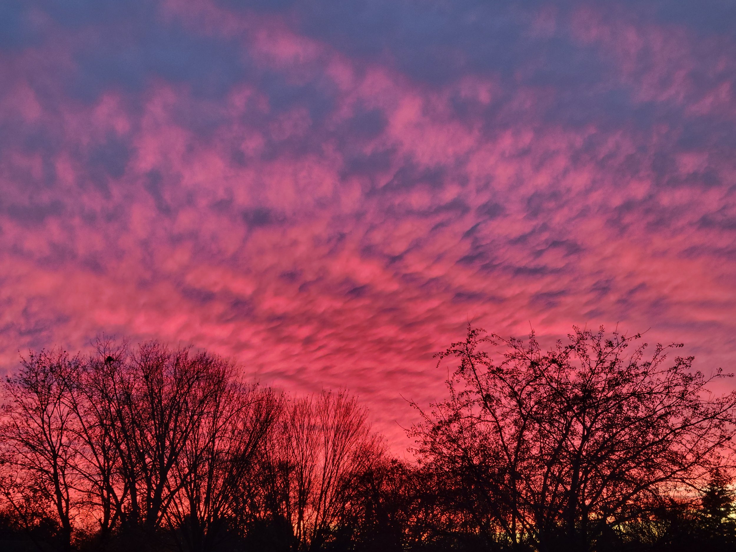 20221104_181227.jpg