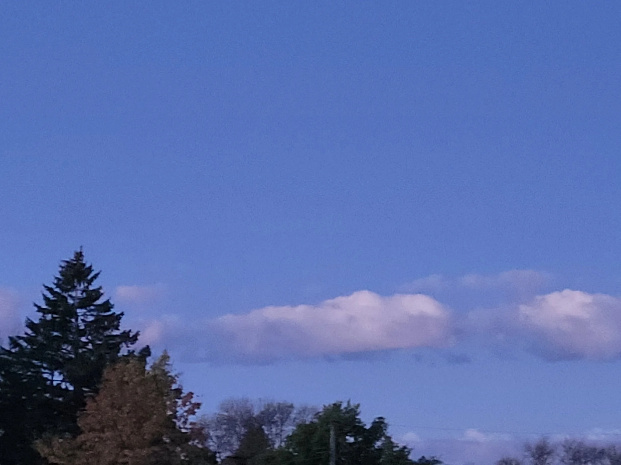 20220927_063753.jpg