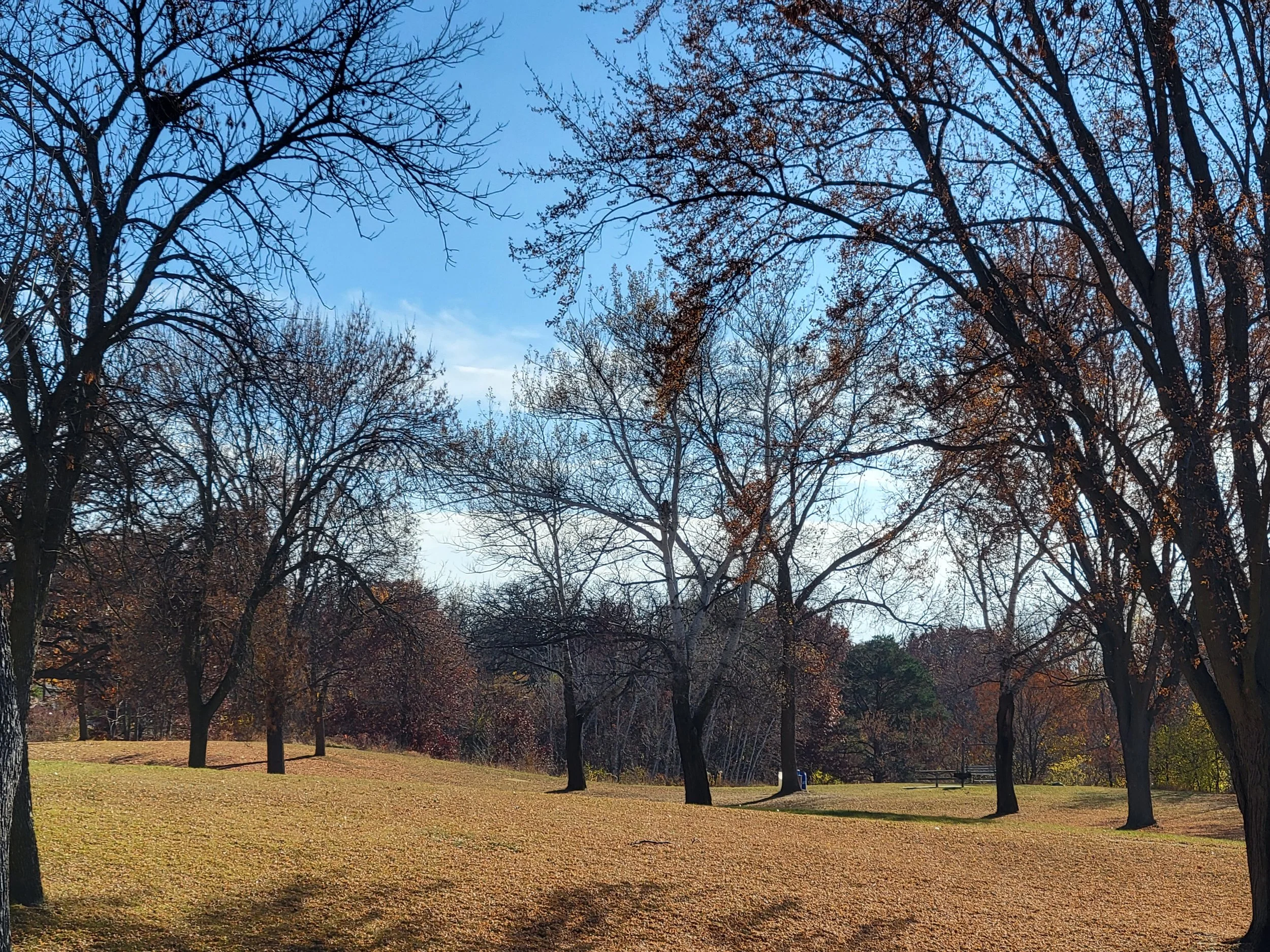 20221030_140509.jpg
