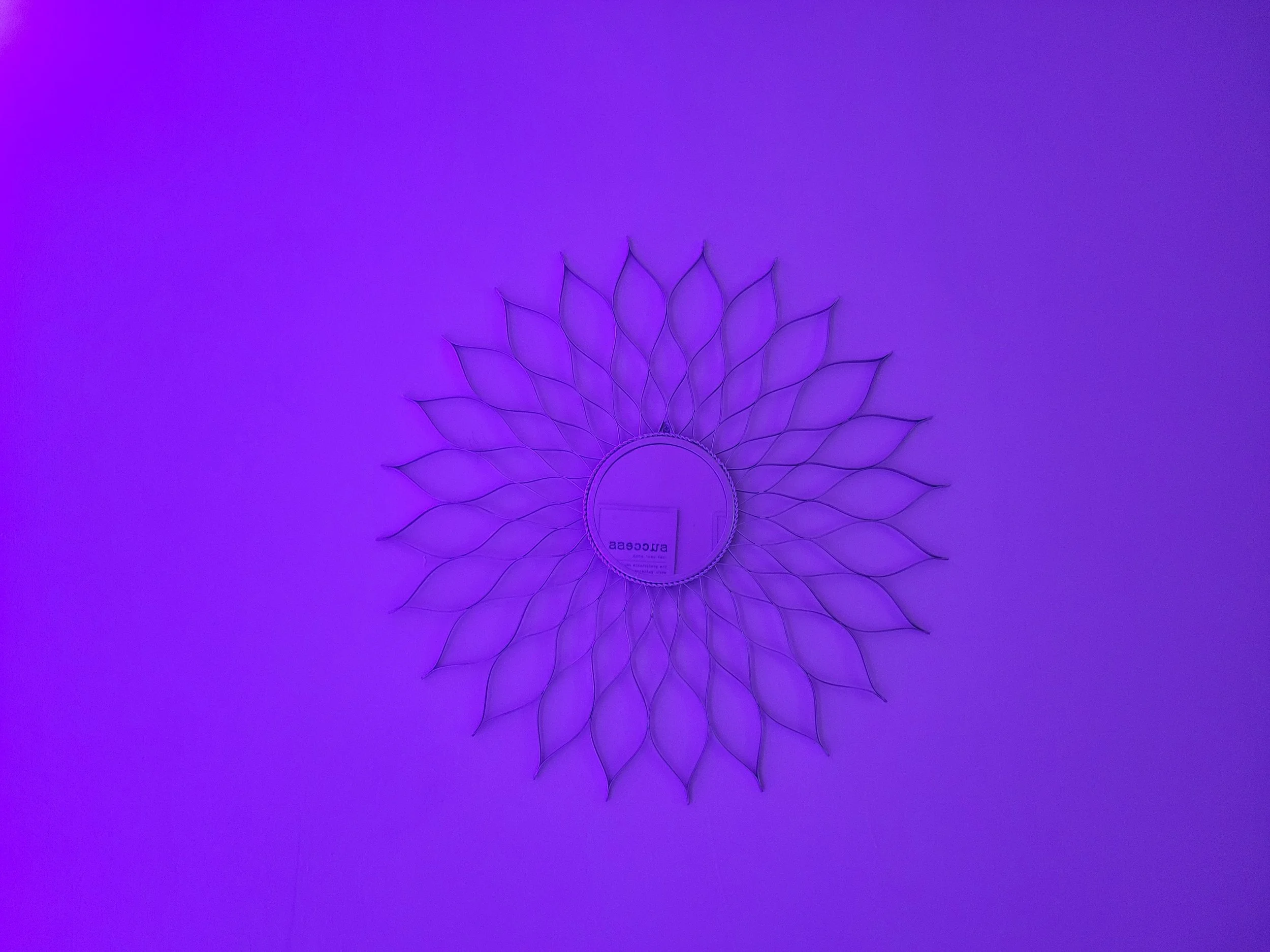 20220724_133629.jpg