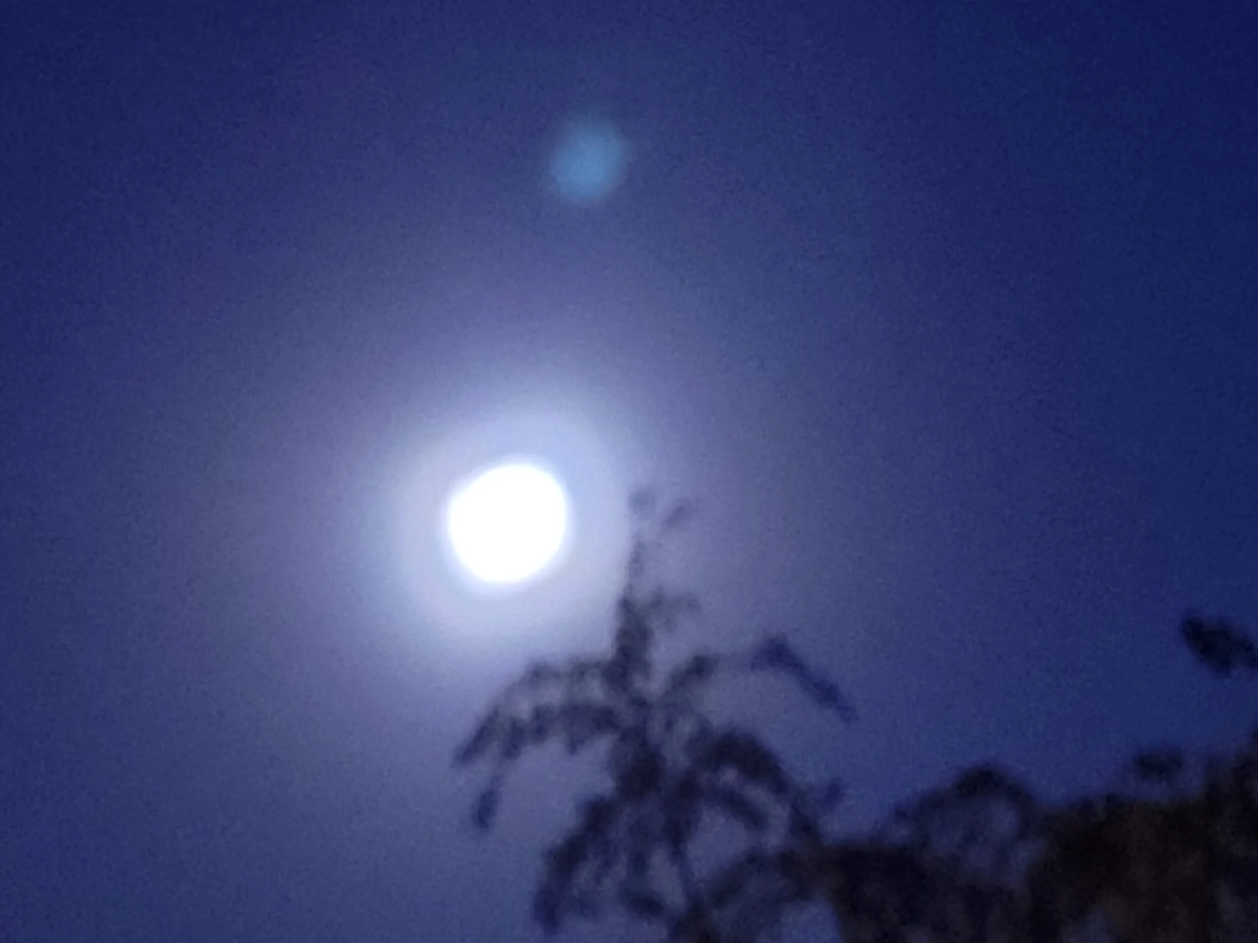 20221010_063826.jpg