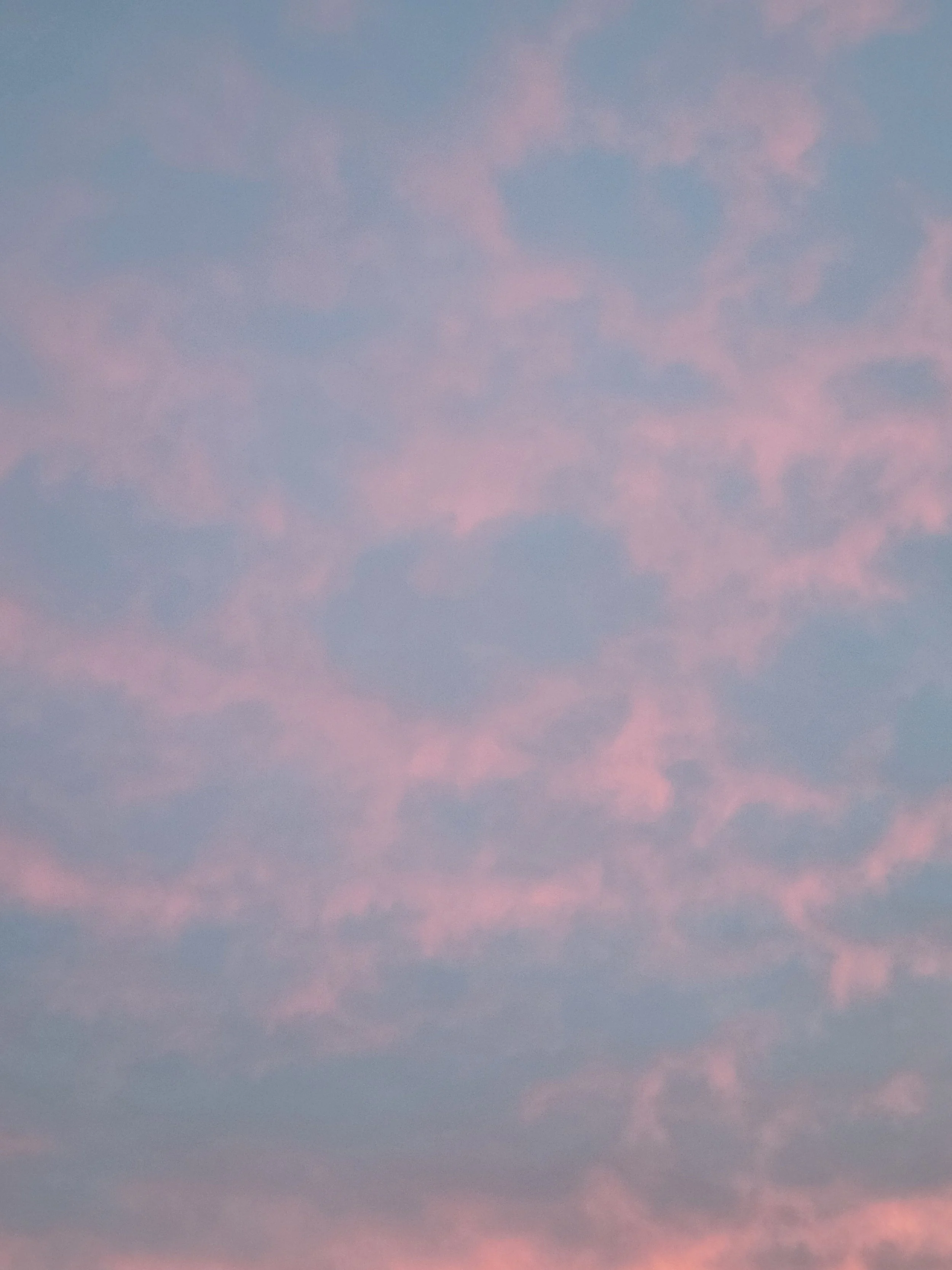 20221104_181118.jpg