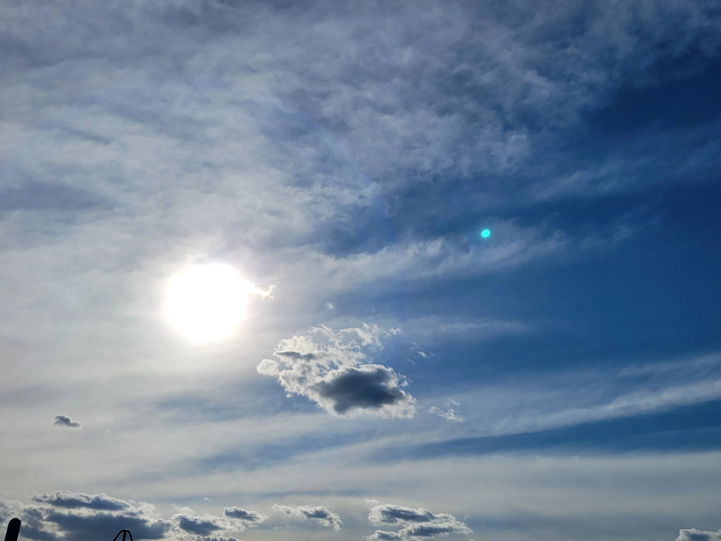 20220911_164908.jpg