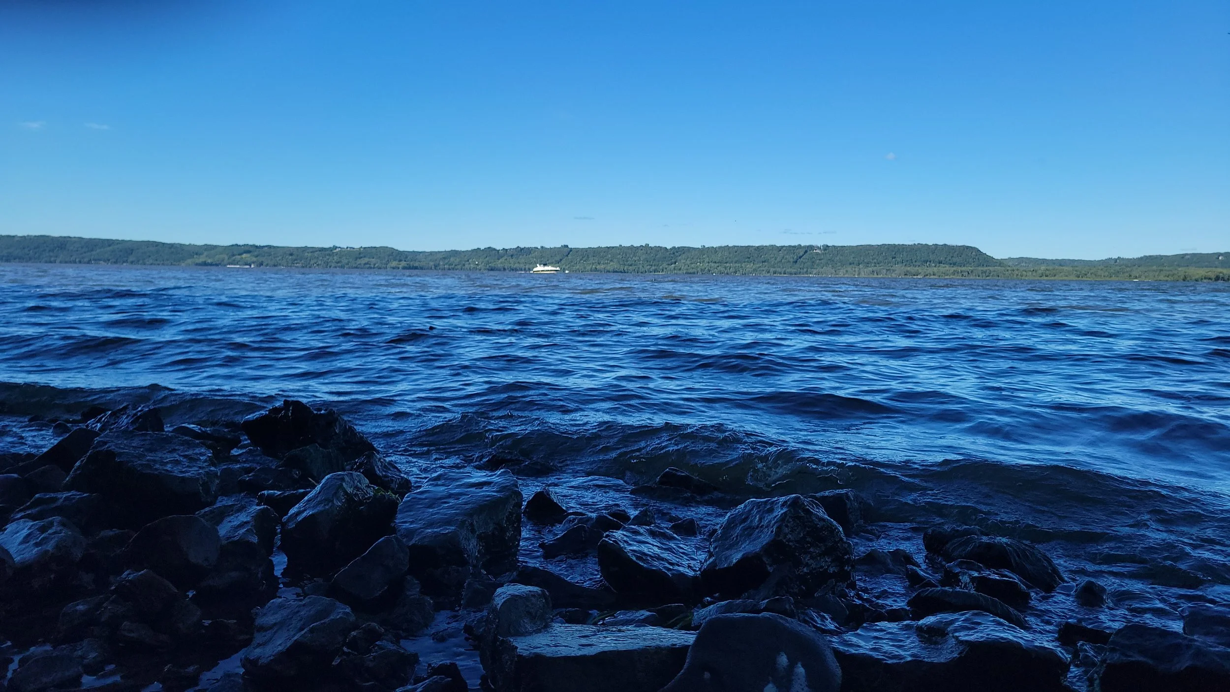 20220903_154728.jpg