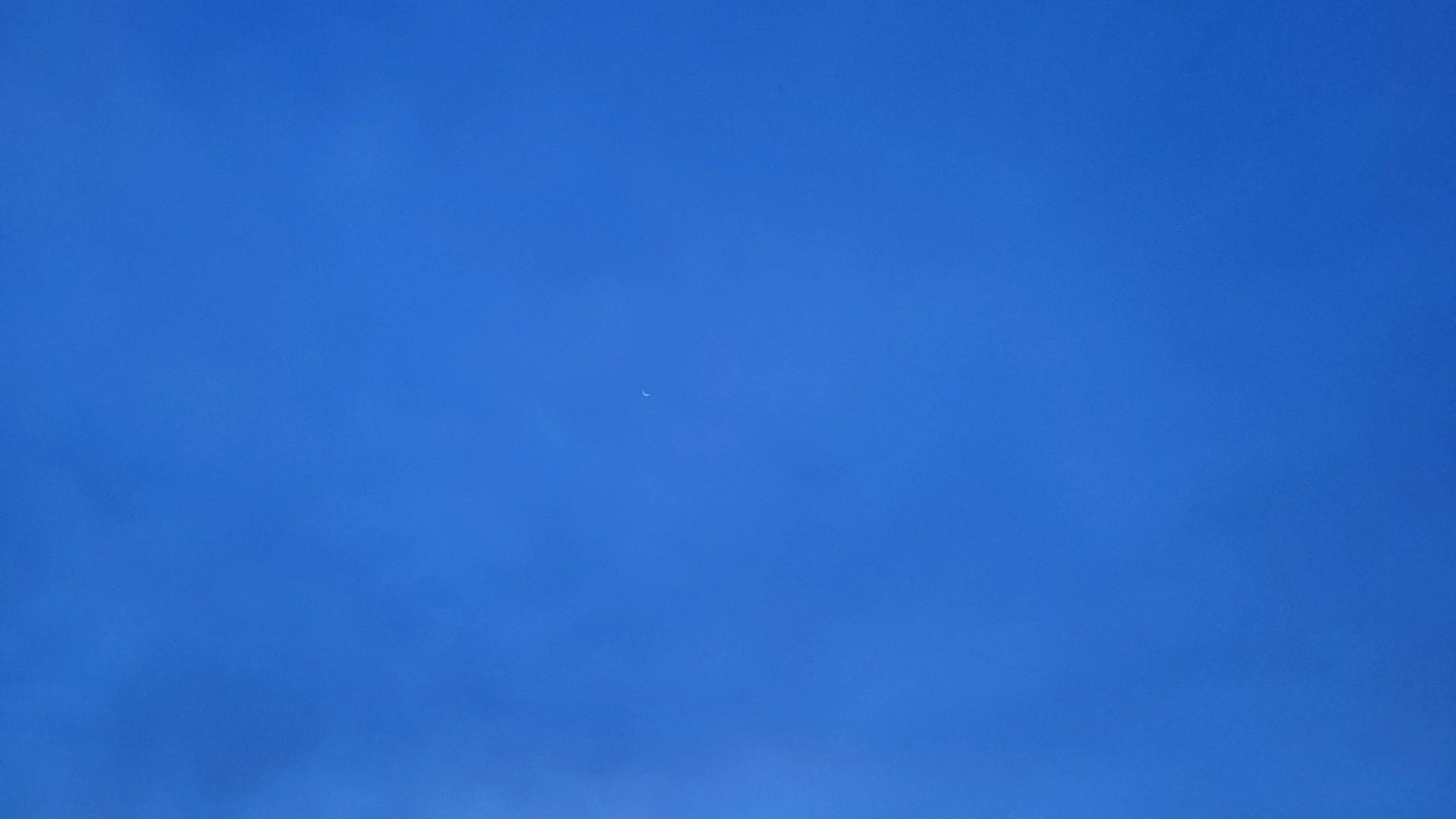 20220920_063837.jpg