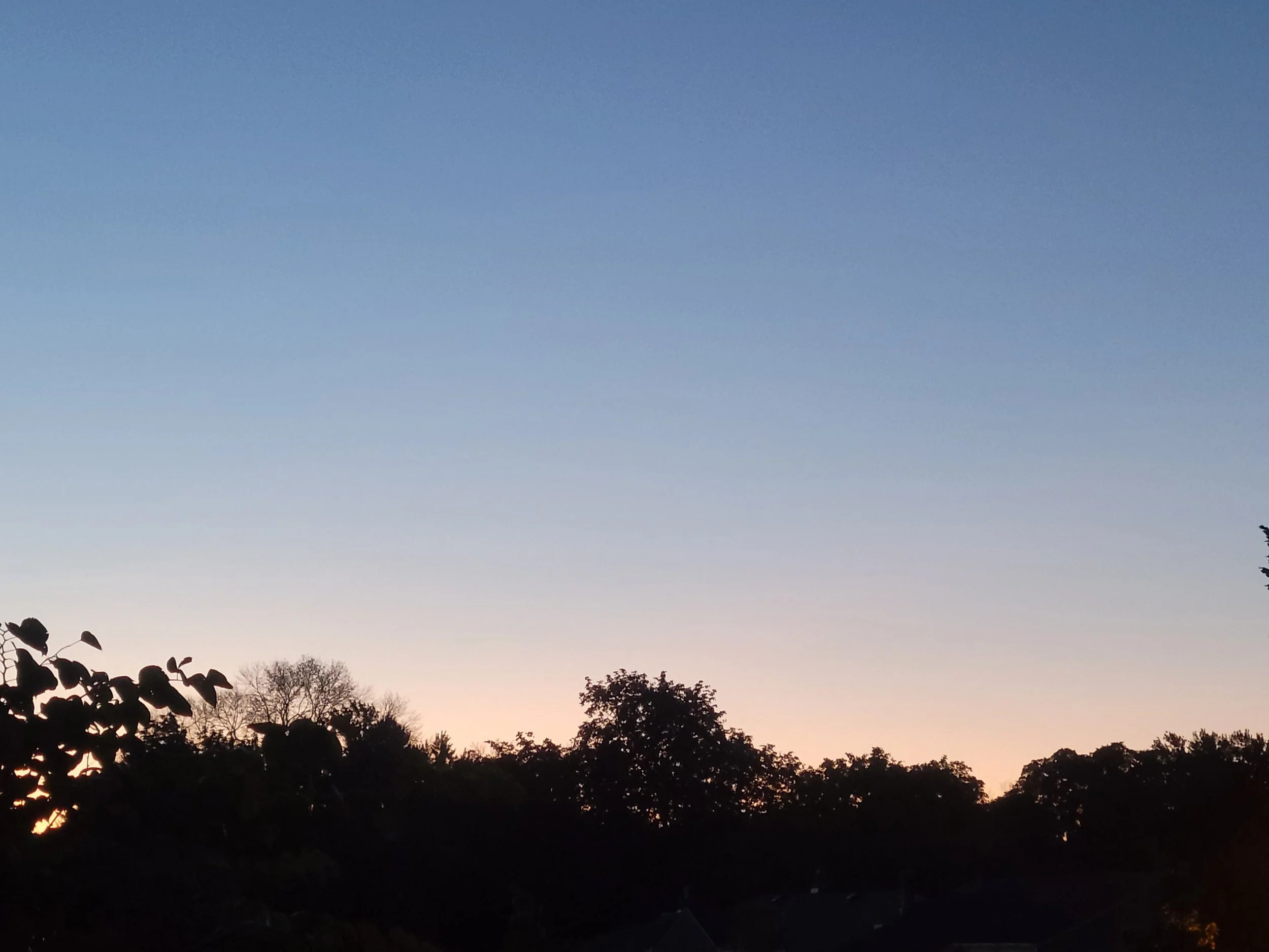 20220927_063613.jpg