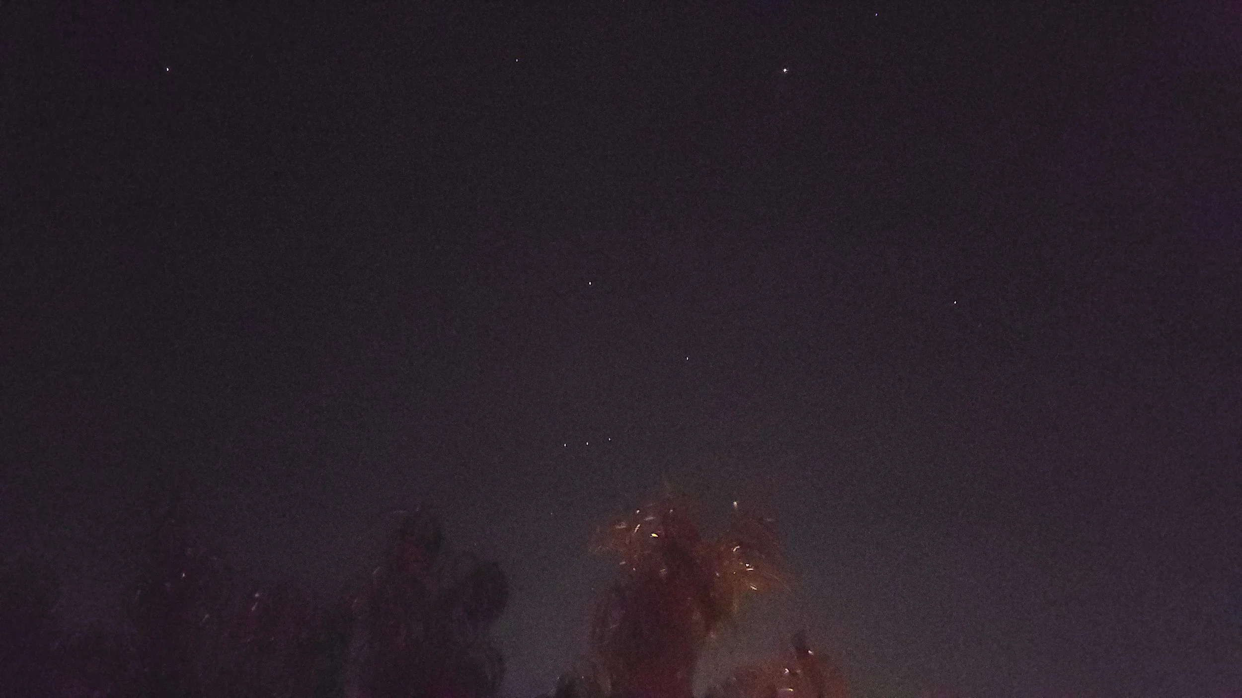 20221031_063931.jpg