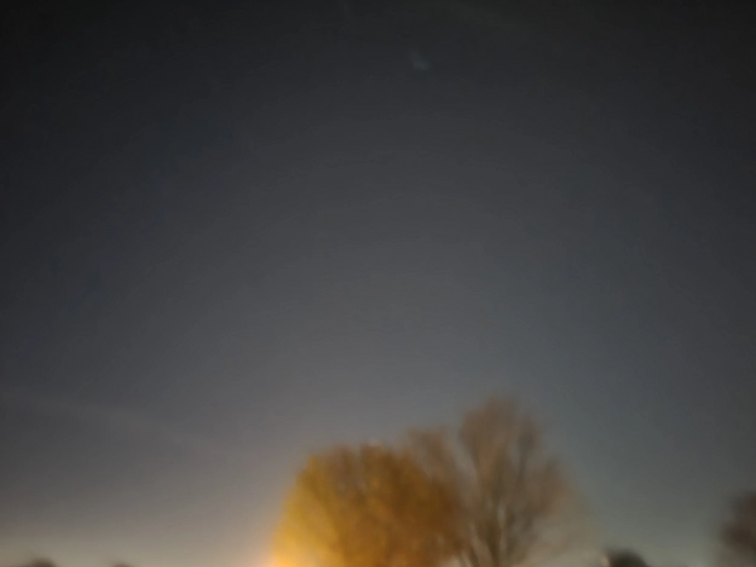 20221102_064443.jpg