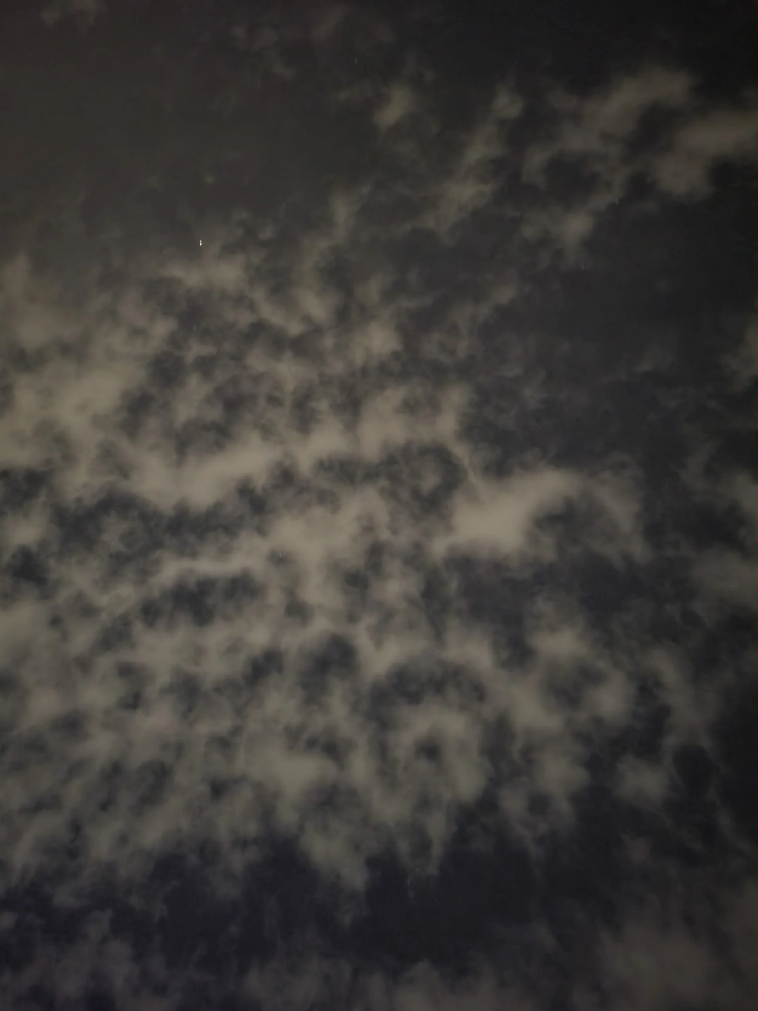 20221027_063625.jpg
