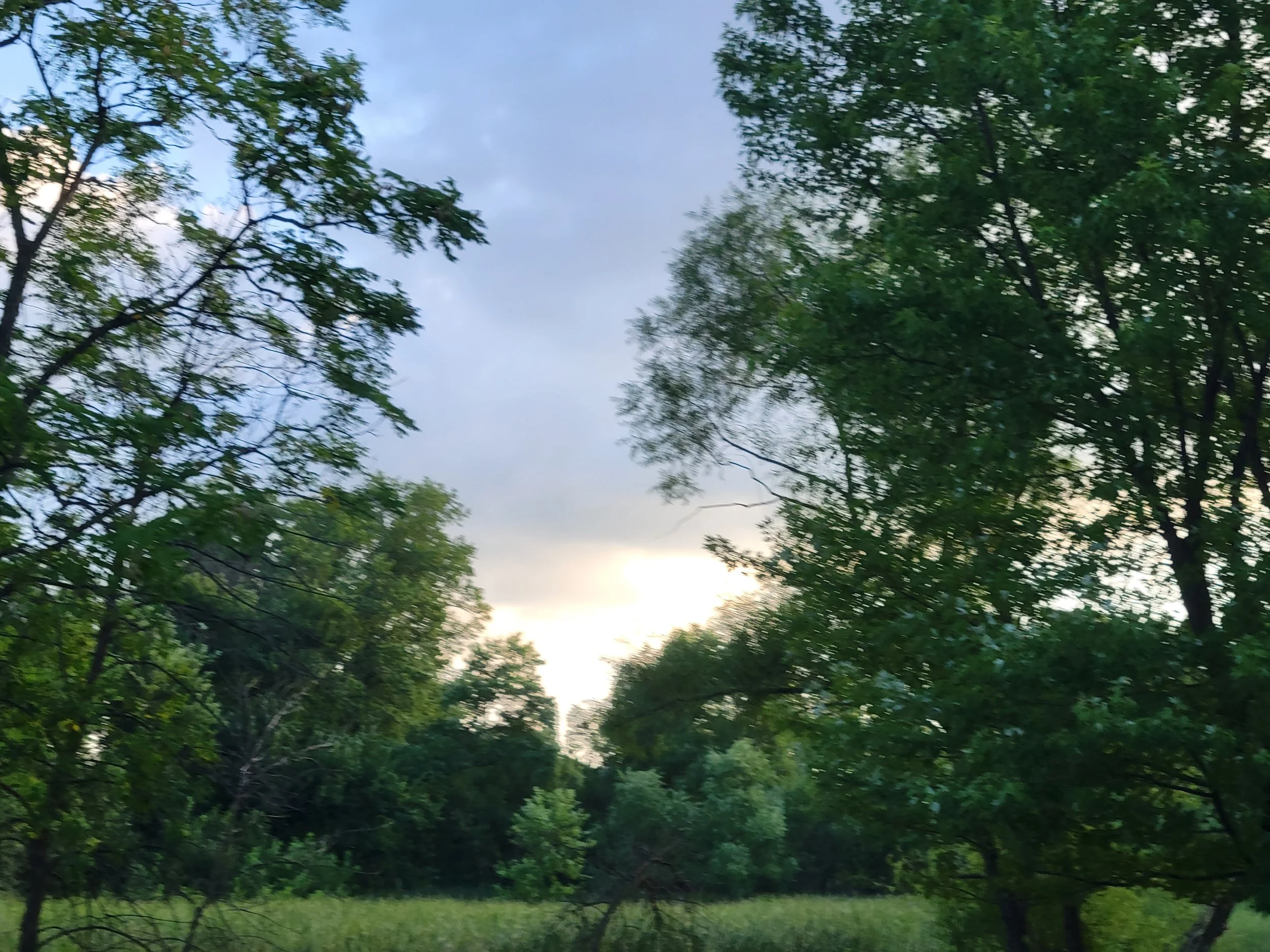 20220820_190918.jpg