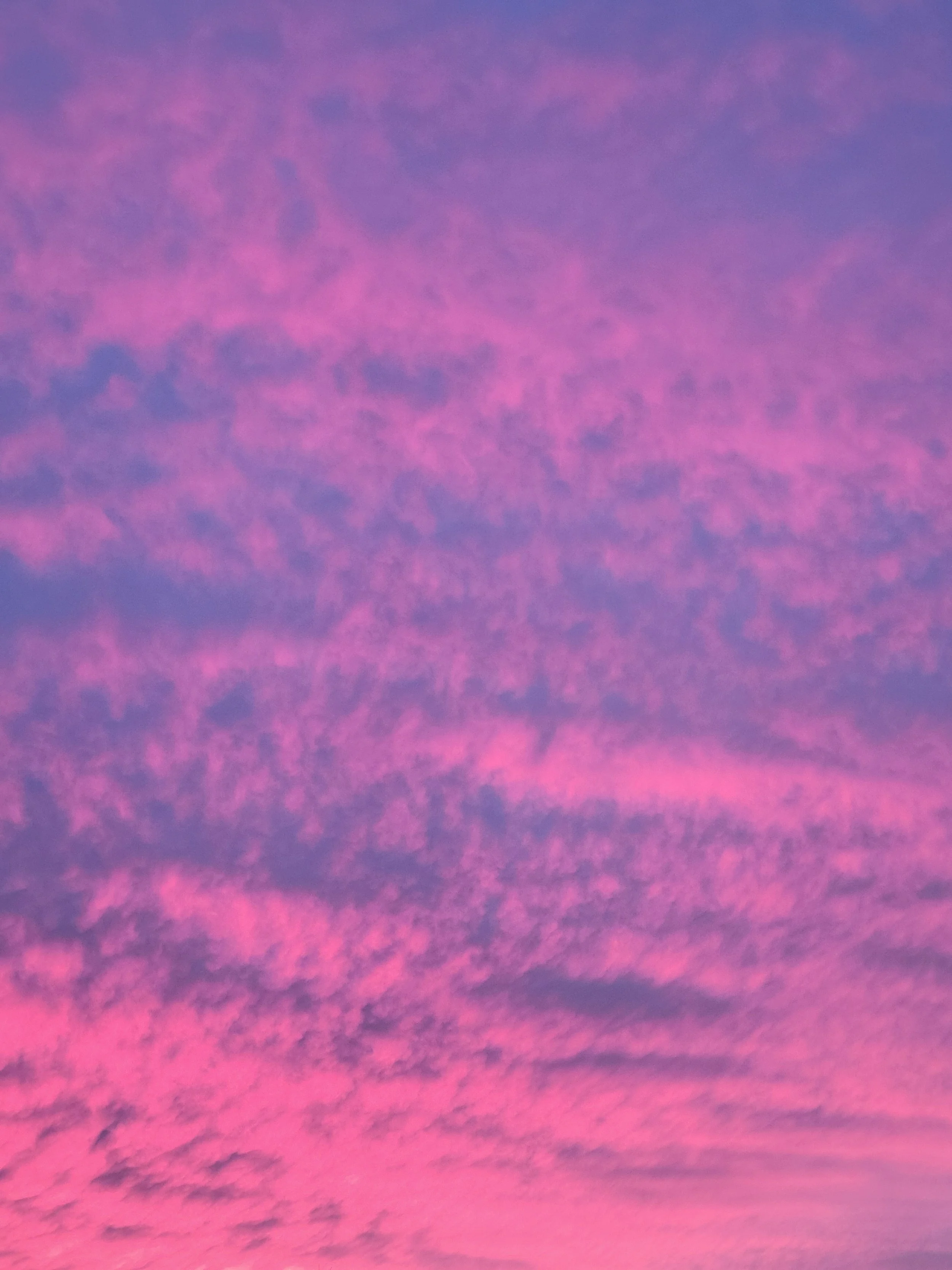 20221104_181058.jpg