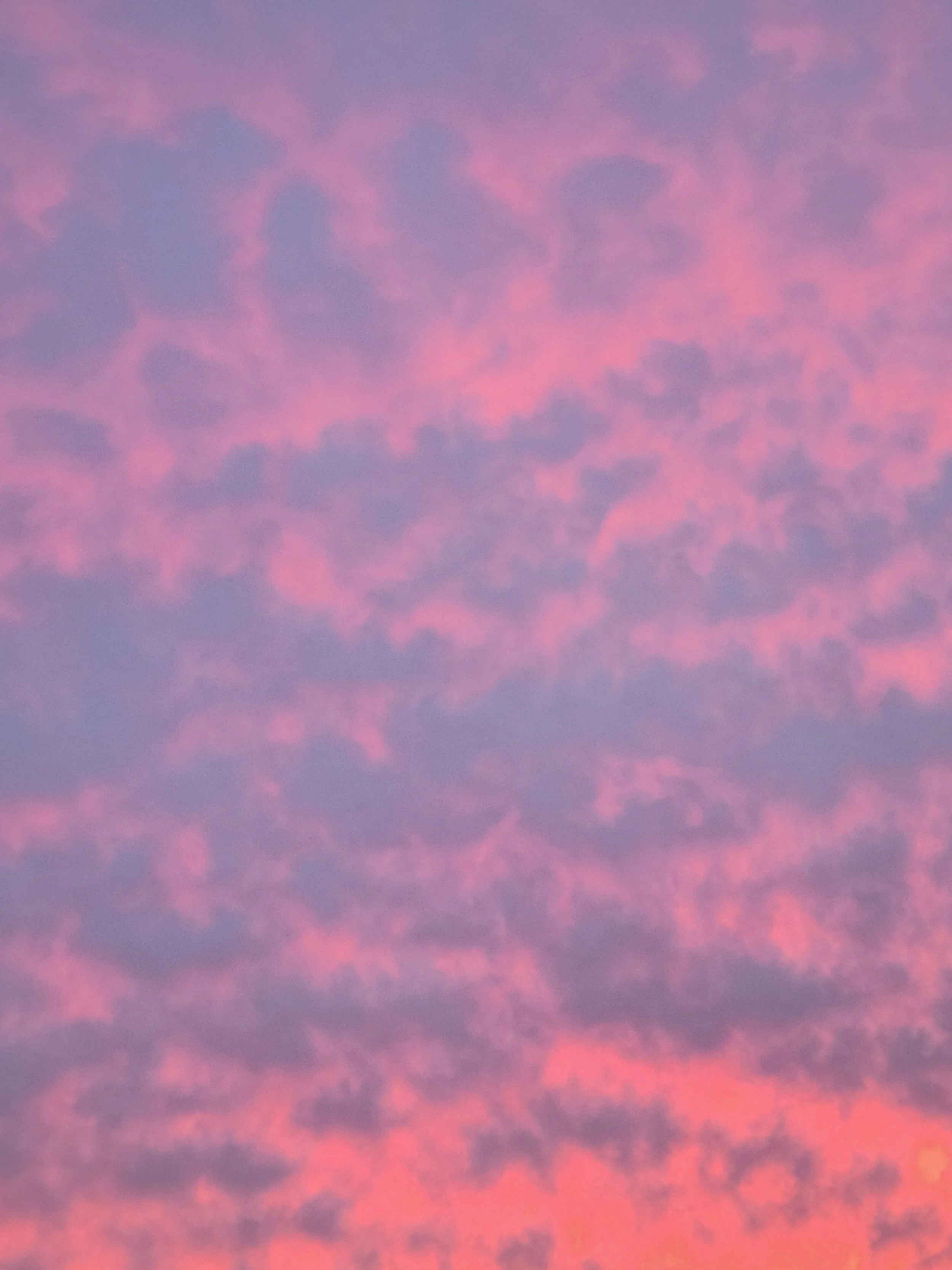 20221104_181107.jpg