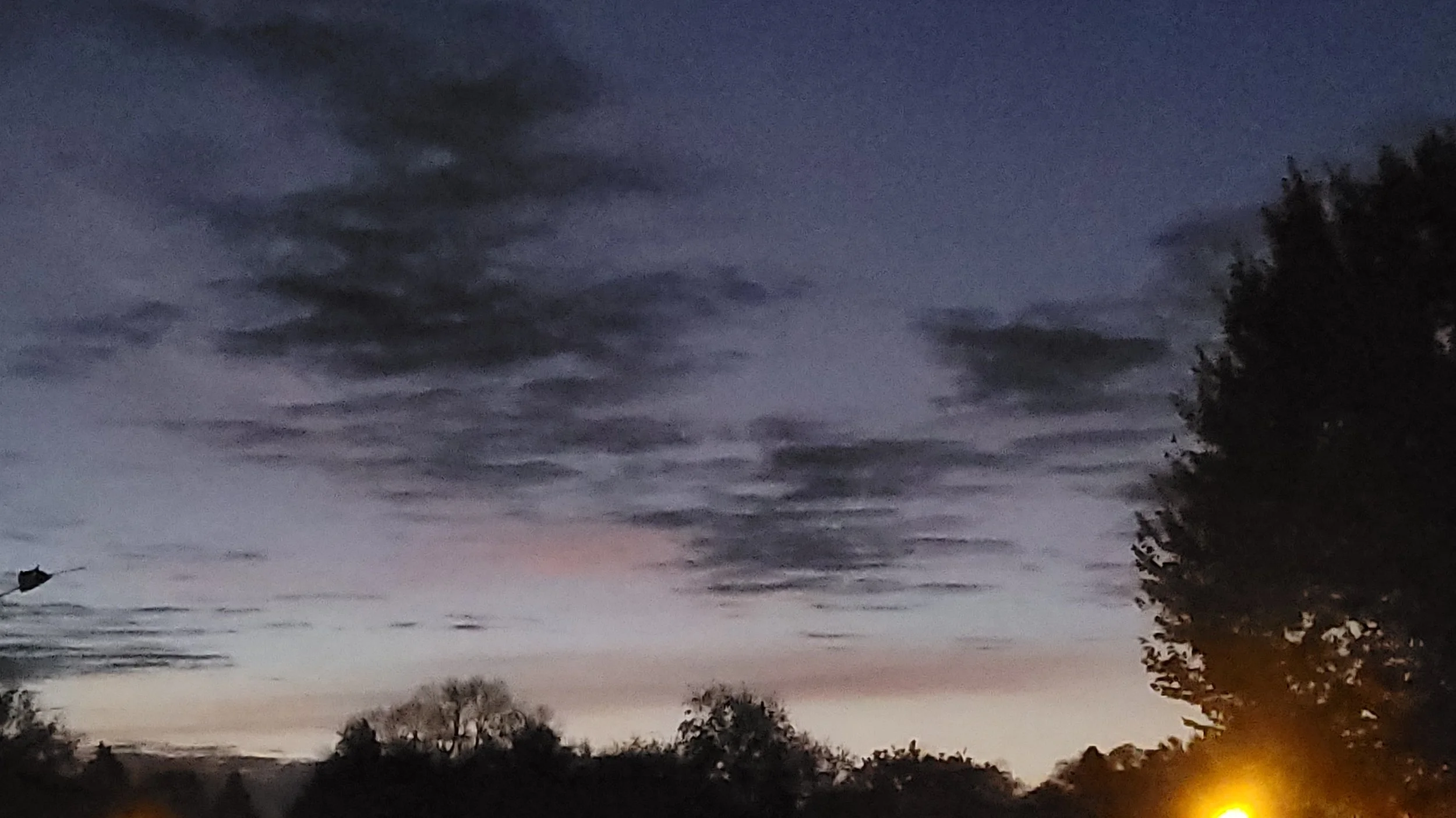 20221028_065948.jpg