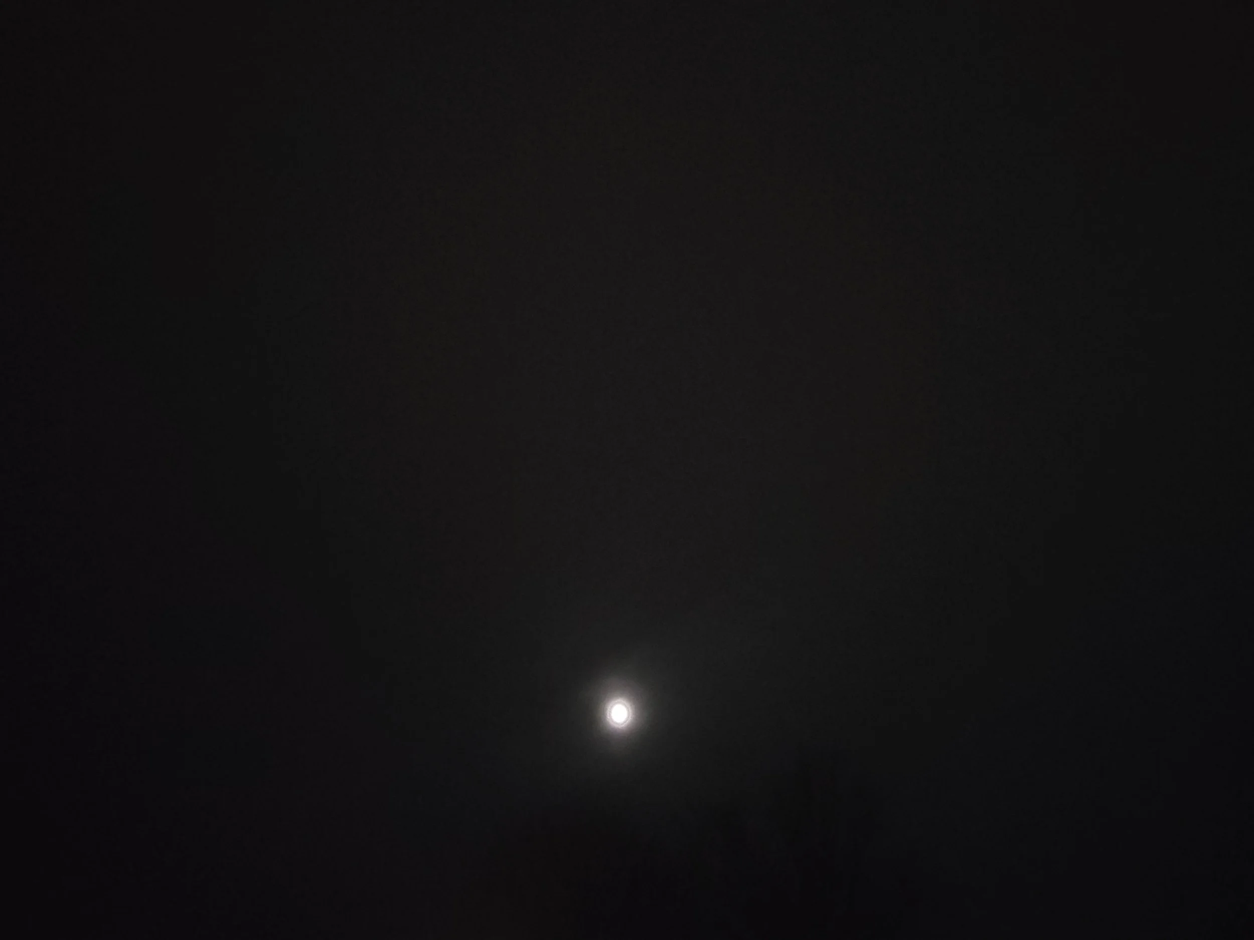 20221104_190643.jpg