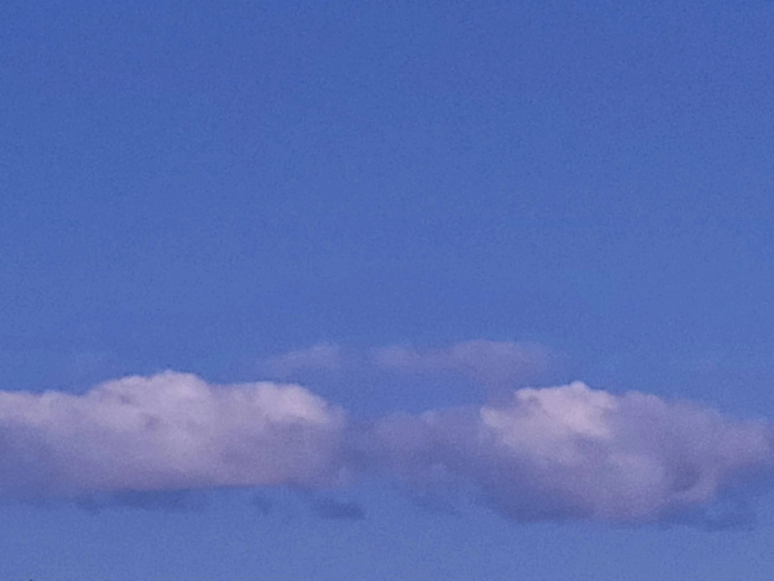 20220927_063726.jpg