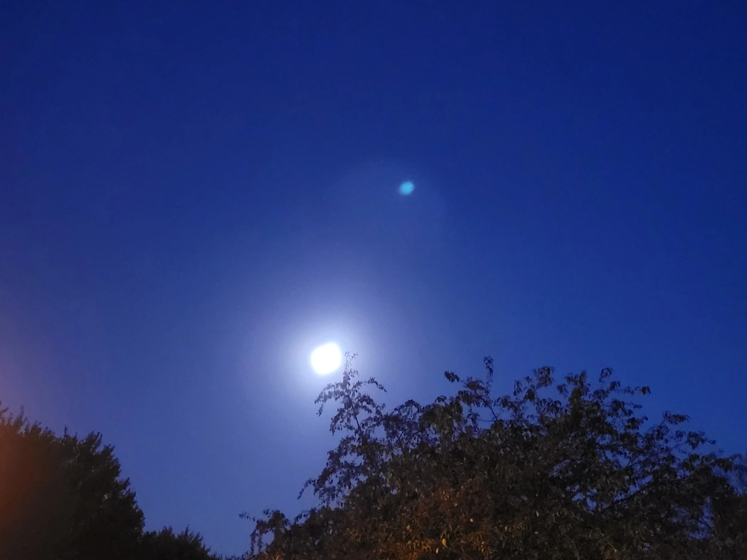 20221010_063852.jpg