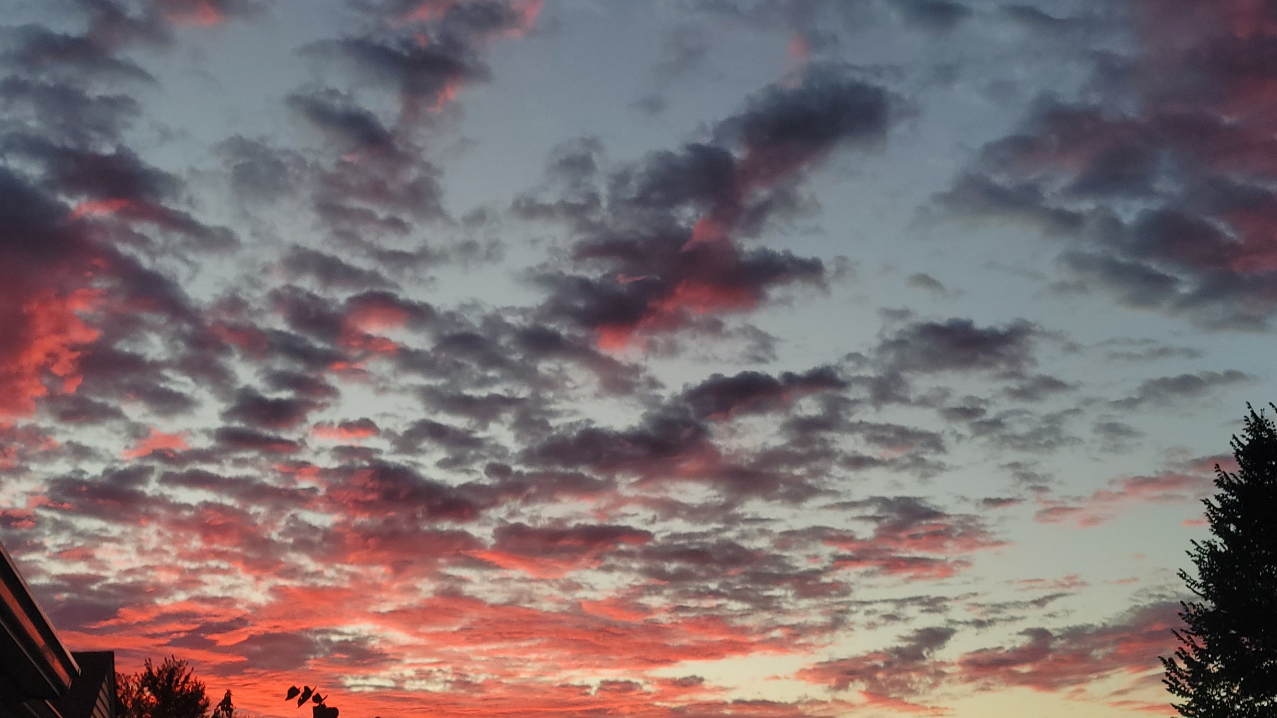 20220923_064856.jpg