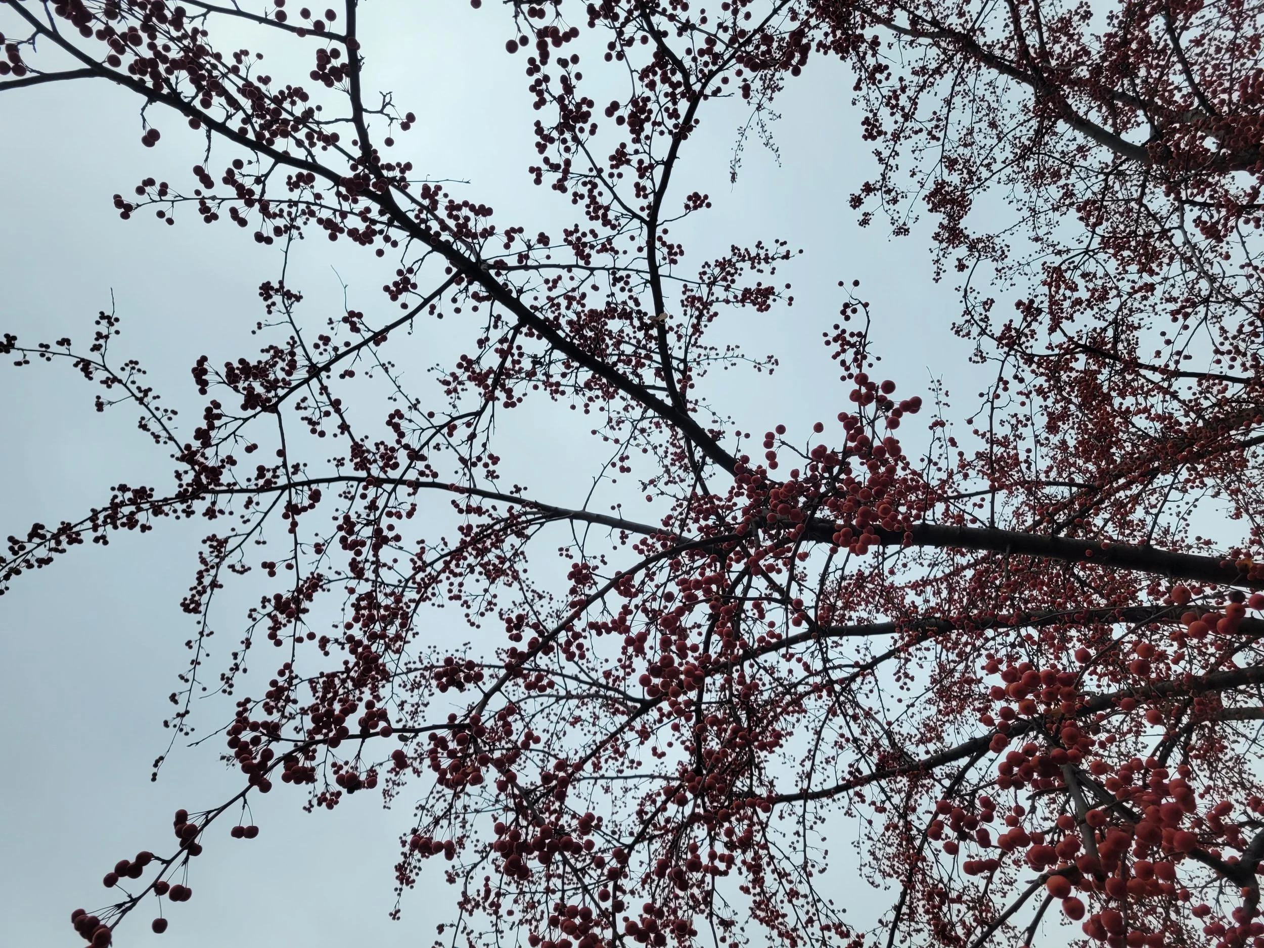 20221103_101933.jpg