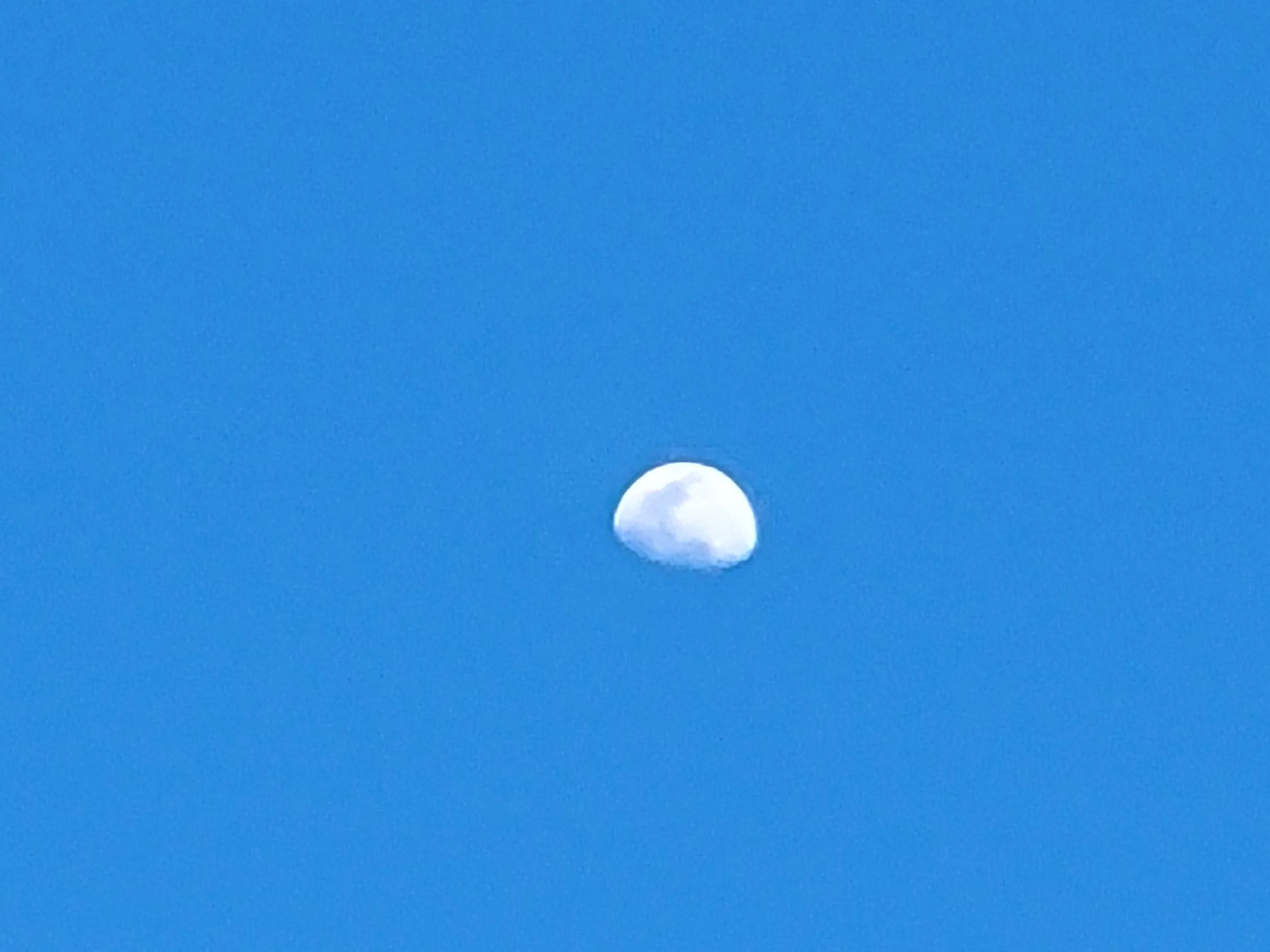 20220411_191505.jpg